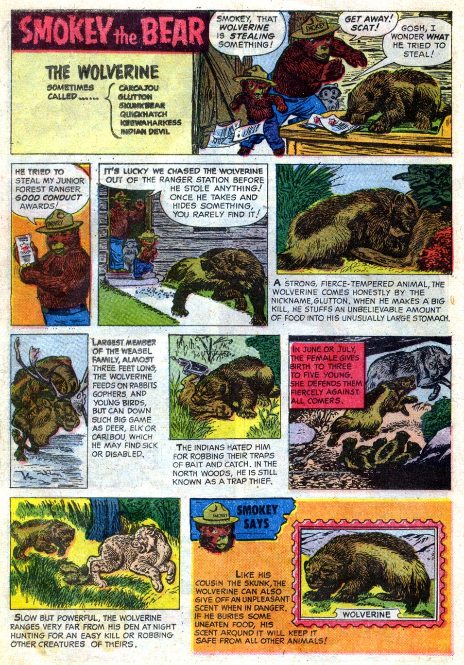 Read online Four Color Comics comic -  Issue #1119 - 14