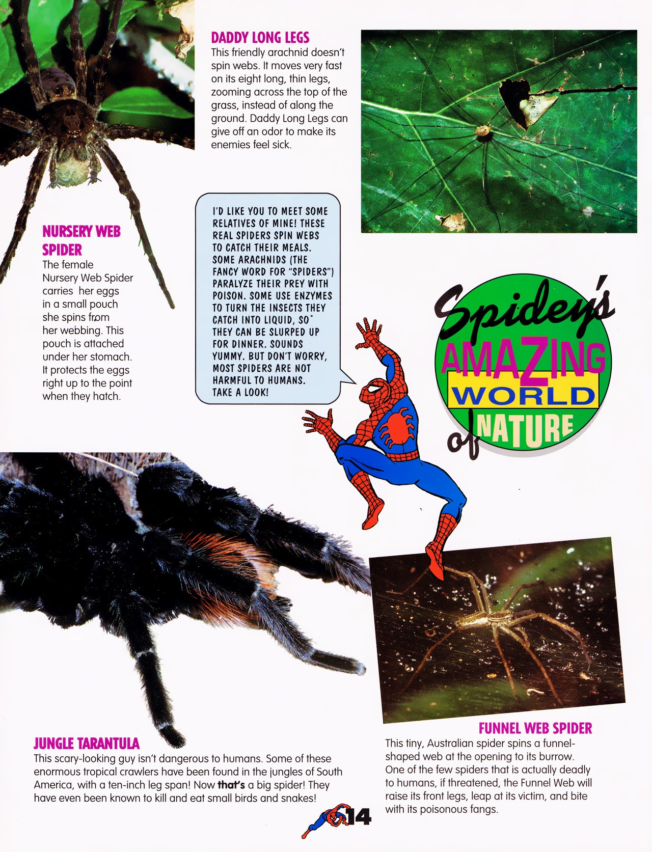 Read online Spider-Man Magazine comic -  Issue #1 - 16