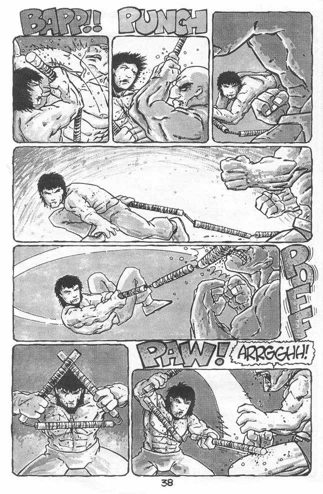 Teenage Mutant Ninja Turtles (1984) Issue #18 #18 - English 40