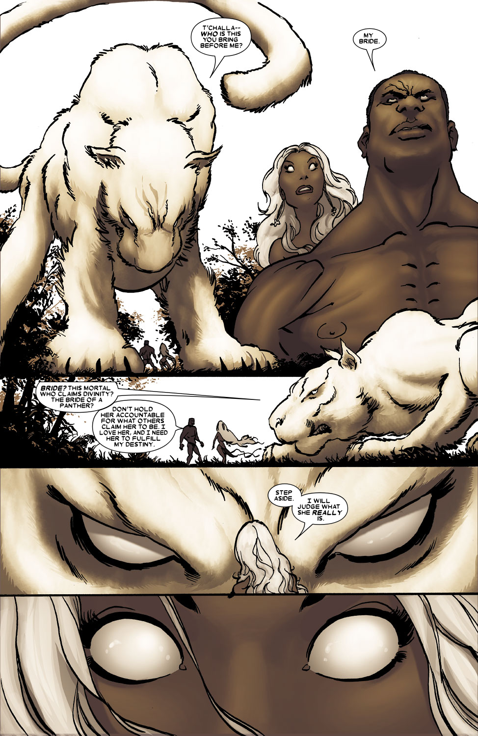 Read online Black Panther (2005) comic -  Issue #18 - 25