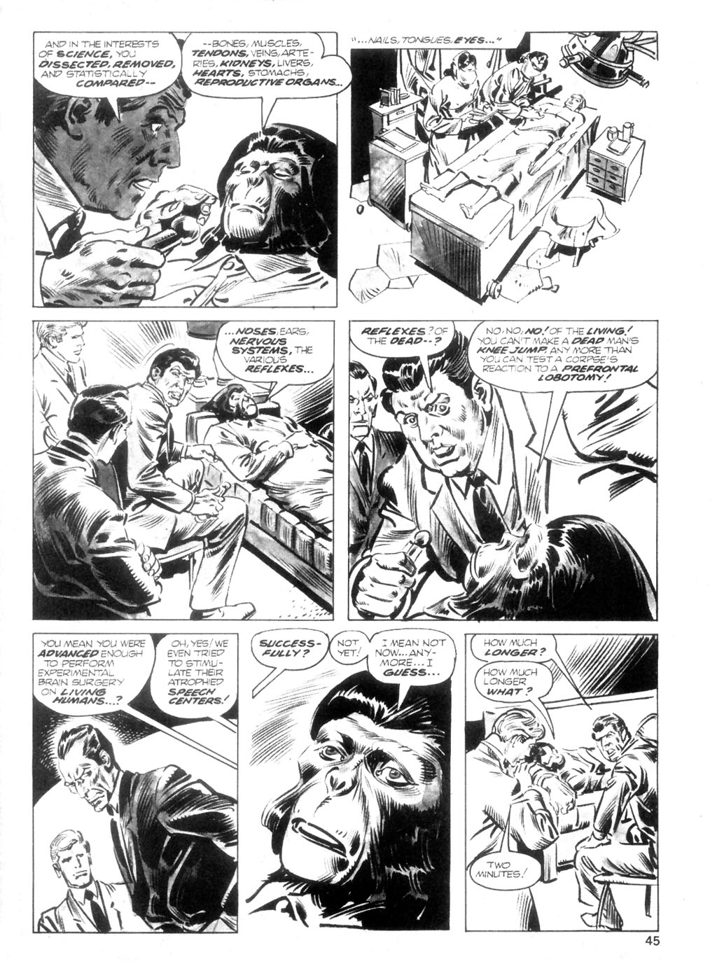 Read online Planet of the Apes comic -  Issue #15 - 43