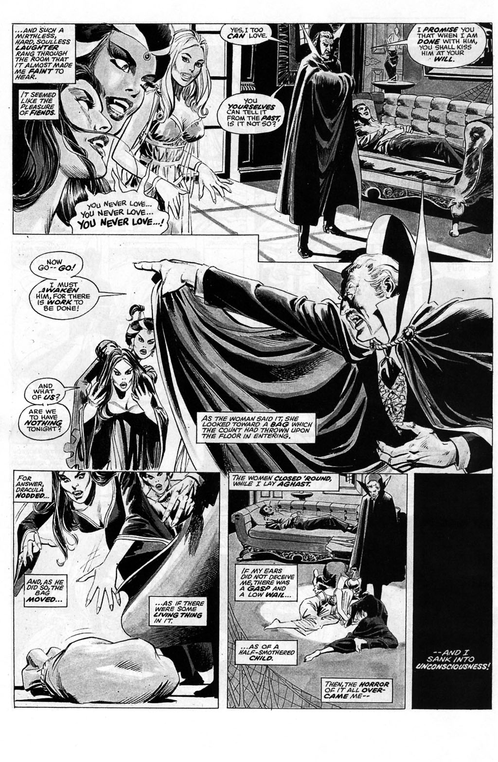 Read online Stoker's Dracula comic -  Issue #1 - 28