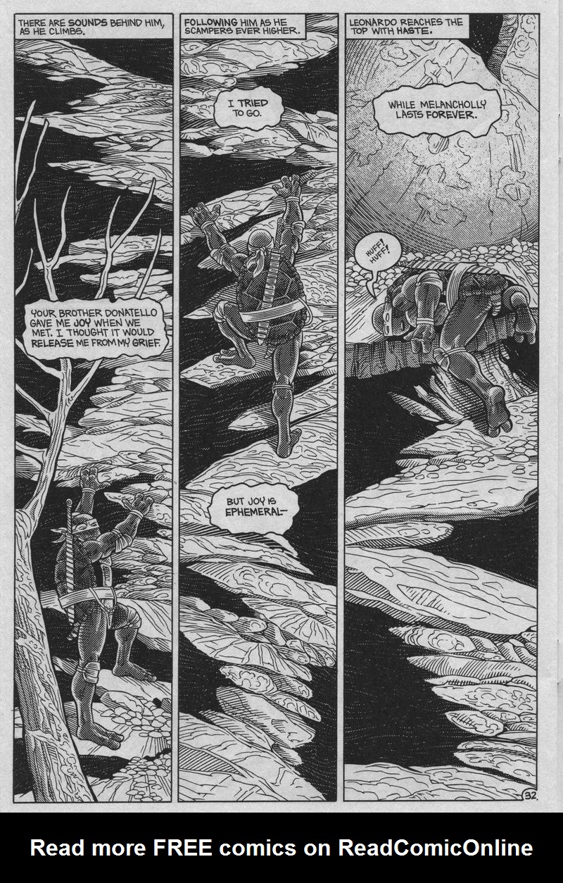 Teenage Mutant Ninja Turtles (1984) Issue #37 #37 - English 32