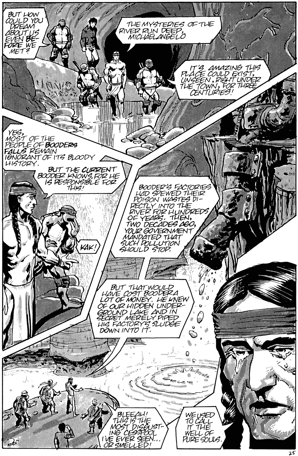 Read online Teenage Mutant Ninja Turtles (1984) comic -  Issue #25 - 27