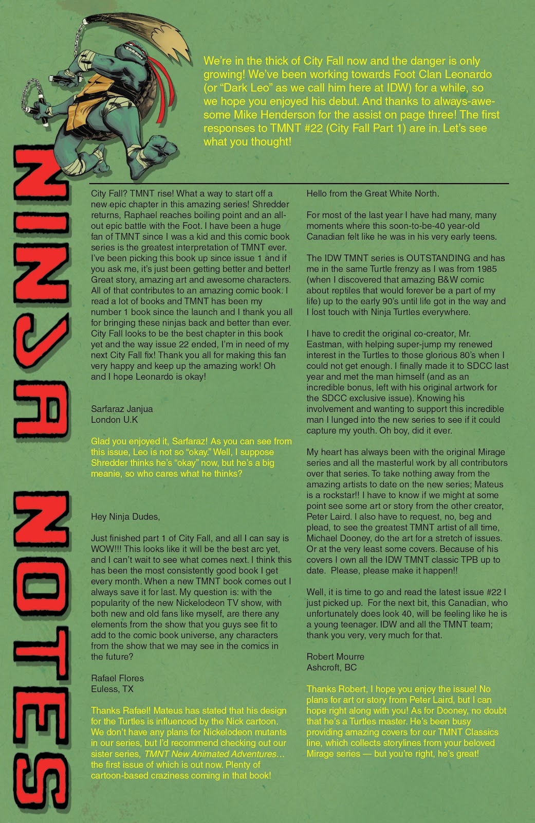 Teenage Mutant Ninja Turtles (2011) issue 24 - Page 29