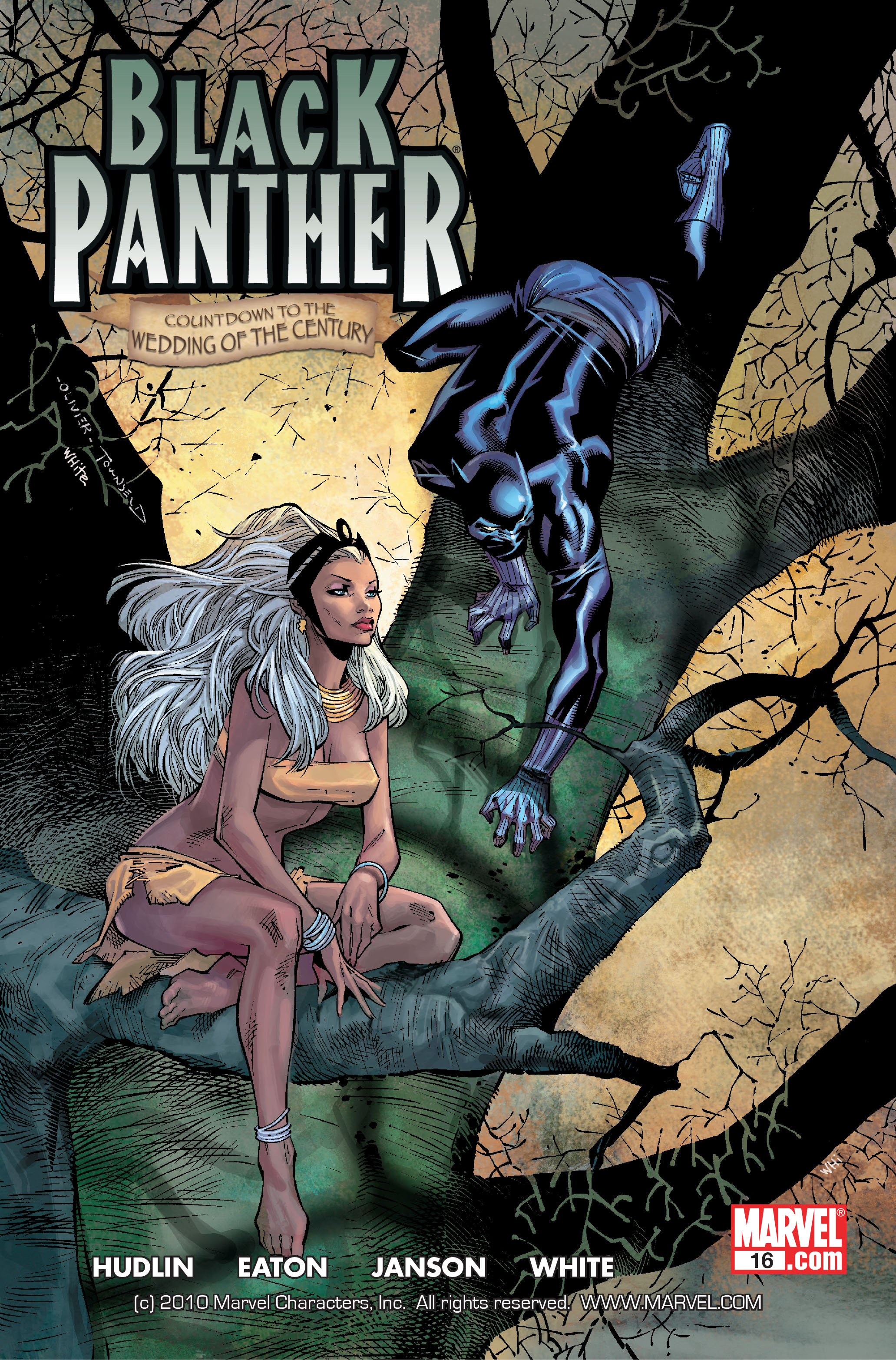 Read online Black Panther: The Bride comic -  Issue # TPB - 51