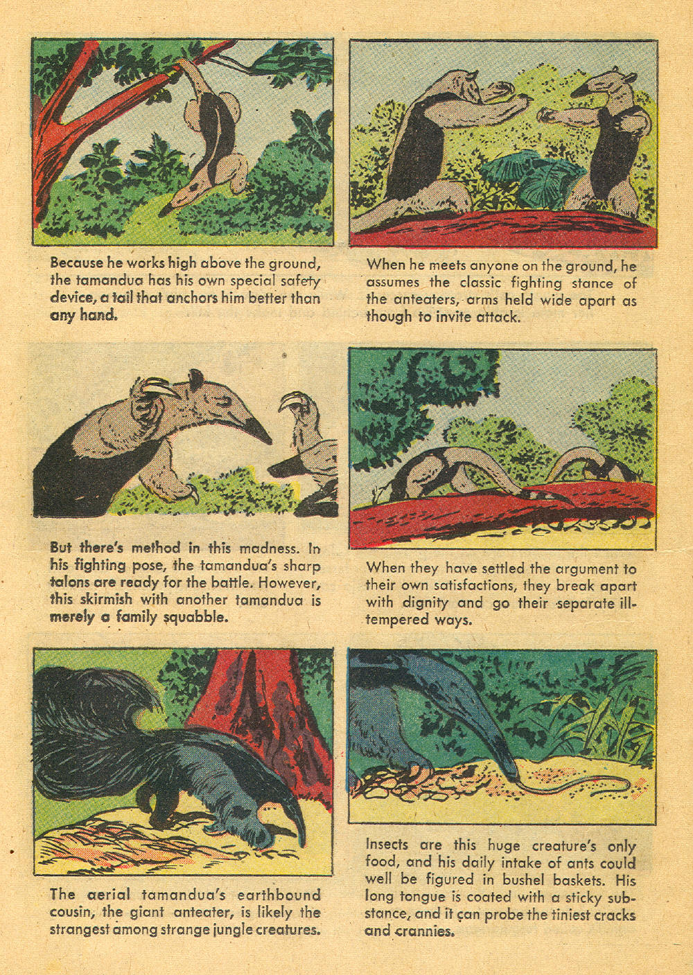 Read online Four Color Comics comic -  Issue #1136 - 24