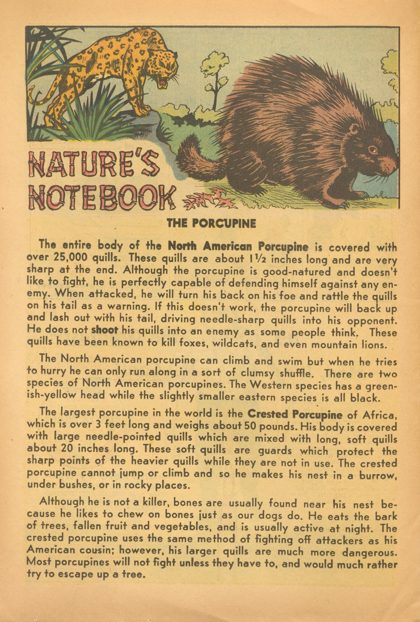 Read online Li'l Jinx (1956) comic -  Issue #16 - 26