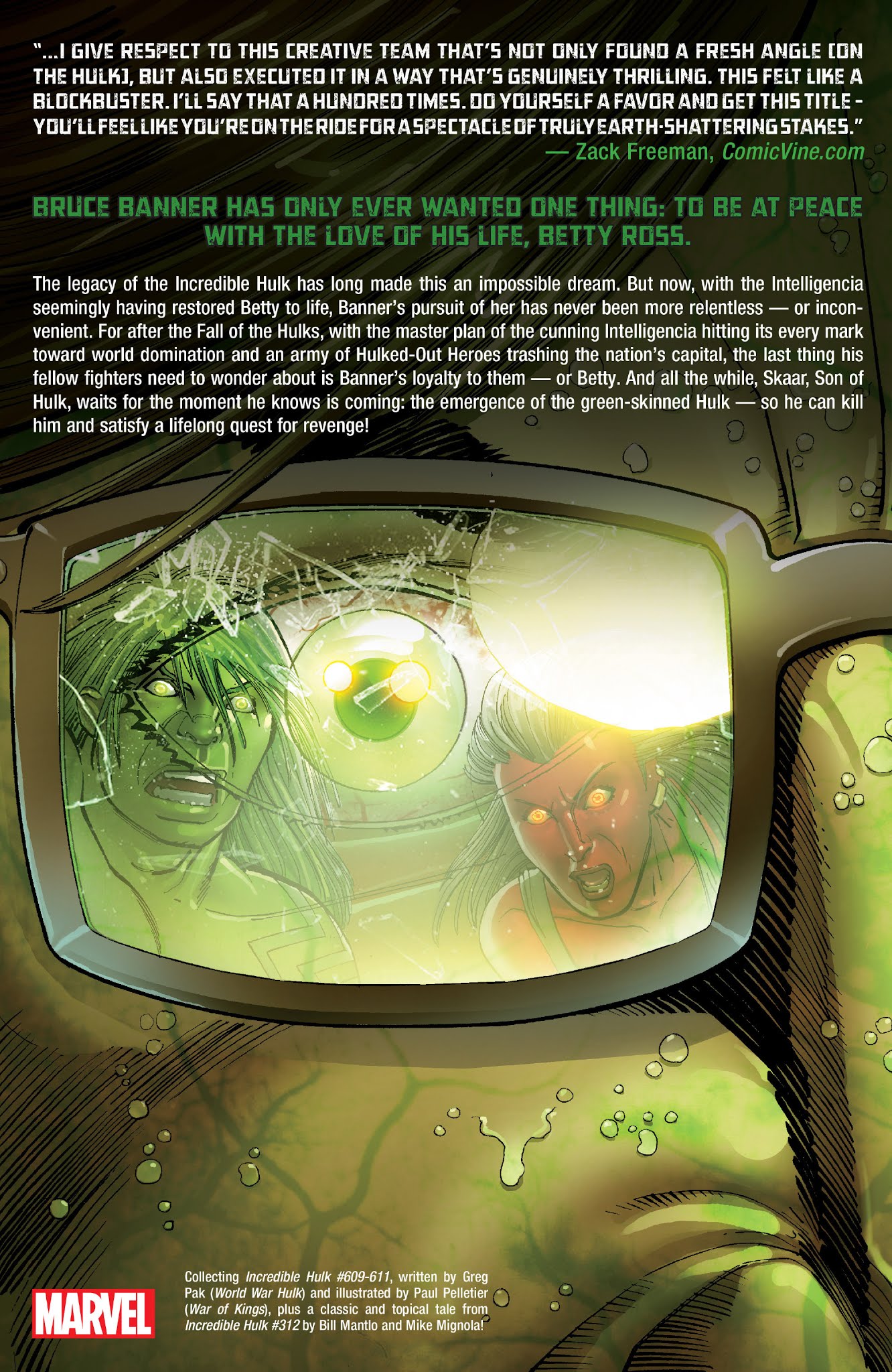 Read online Incredible Hulks: World War Hulks comic -  Issue # TPB - 142