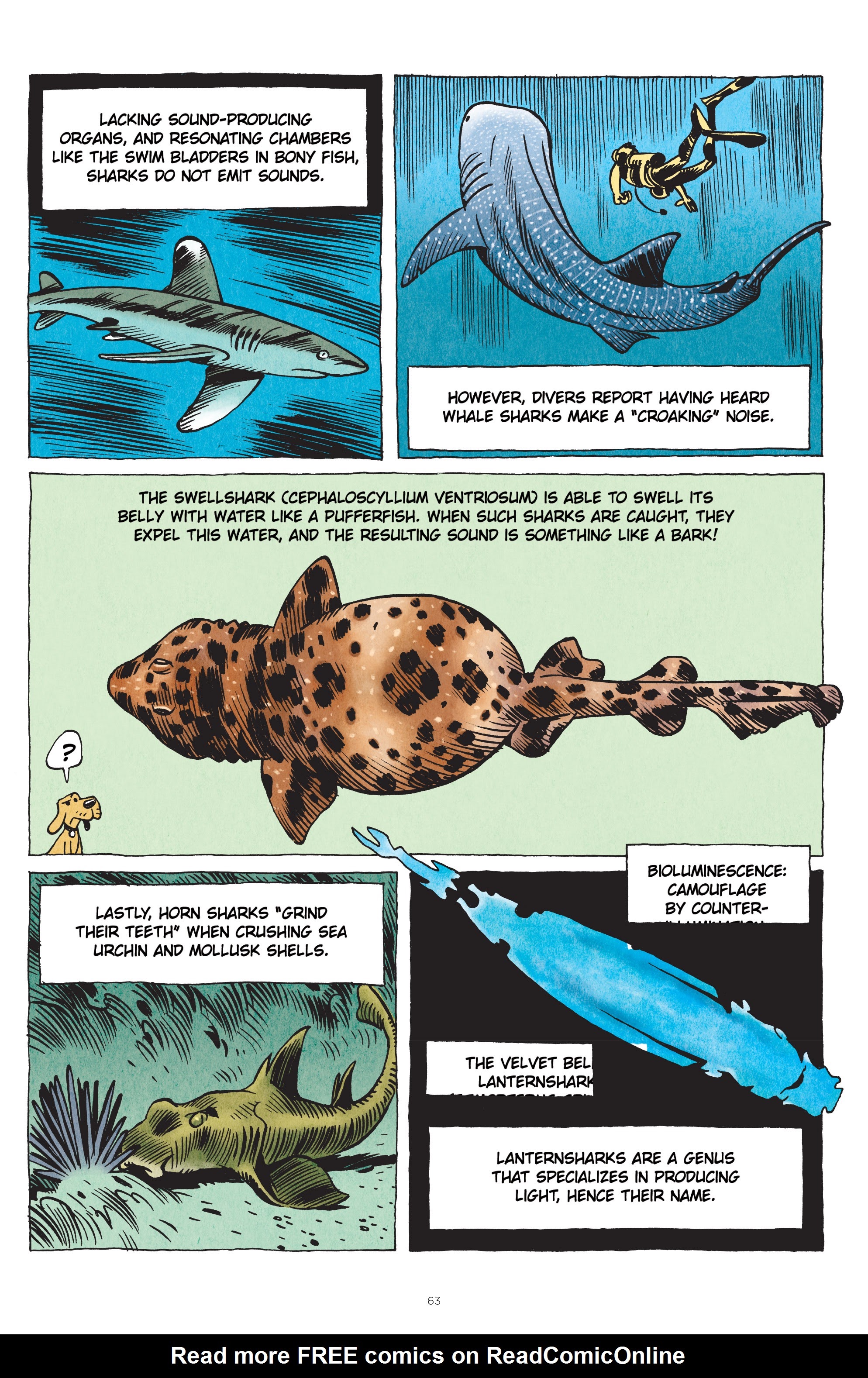 Read online Little Book of Knowledge: Sharks comic -  Issue # TPB - 63