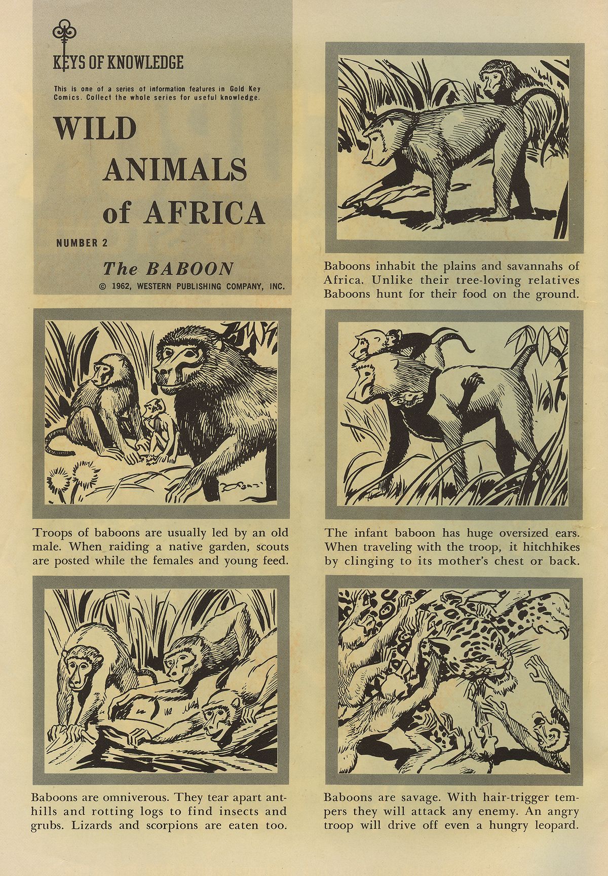 Read online Turok, Son of Stone comic -  Issue #31 - 2