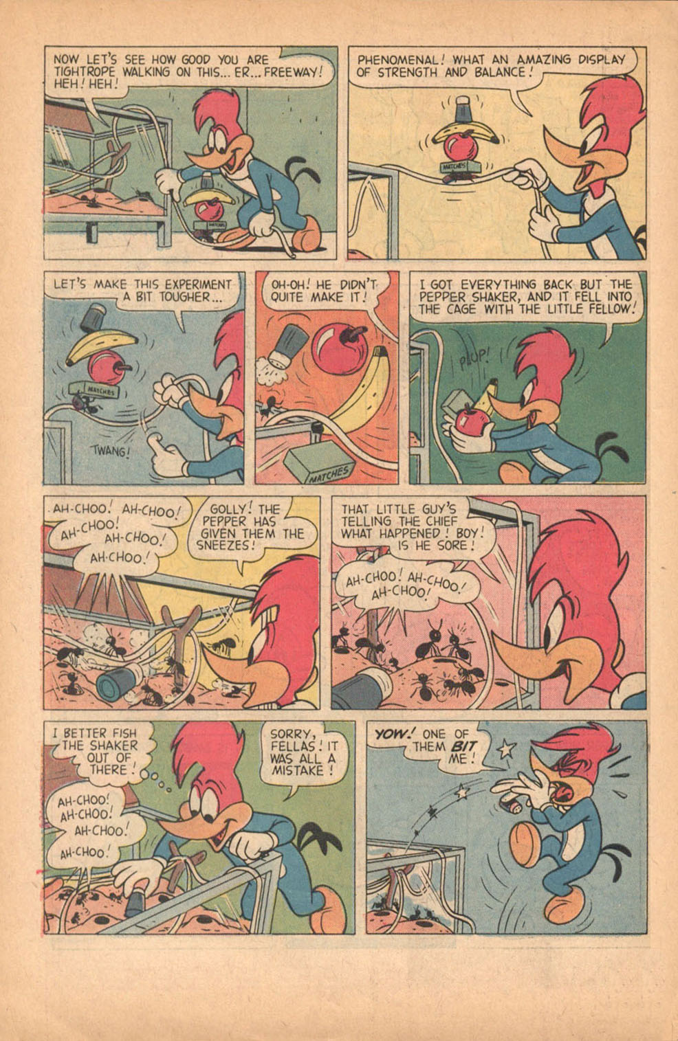 Read online Walter Lantz Woody Woodpecker (1962) comic -  Issue #119 - 6