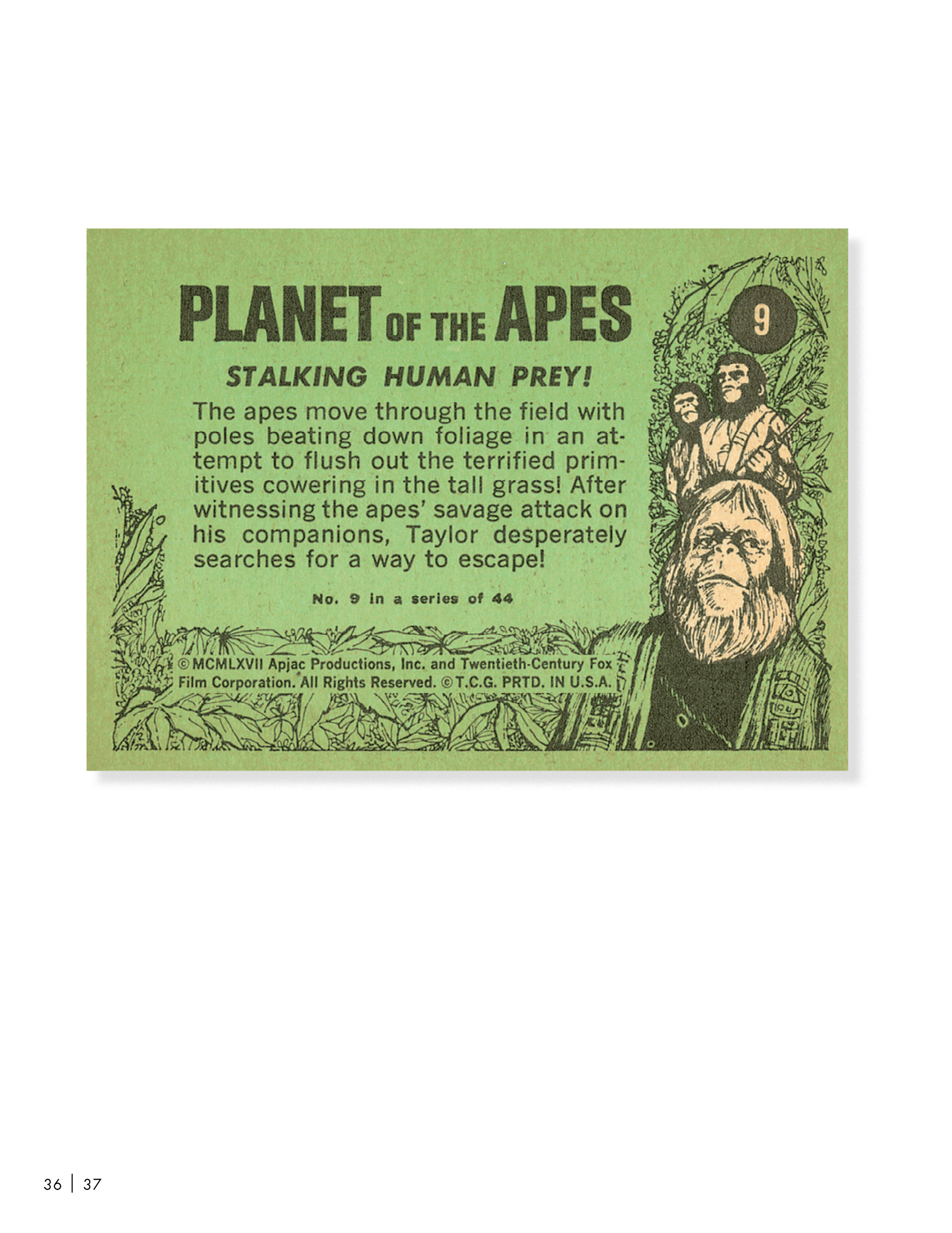 Read online Planet of the Apes: The Original Topps Trading Card Series comic -  Issue # TPB (Part 1) - 41