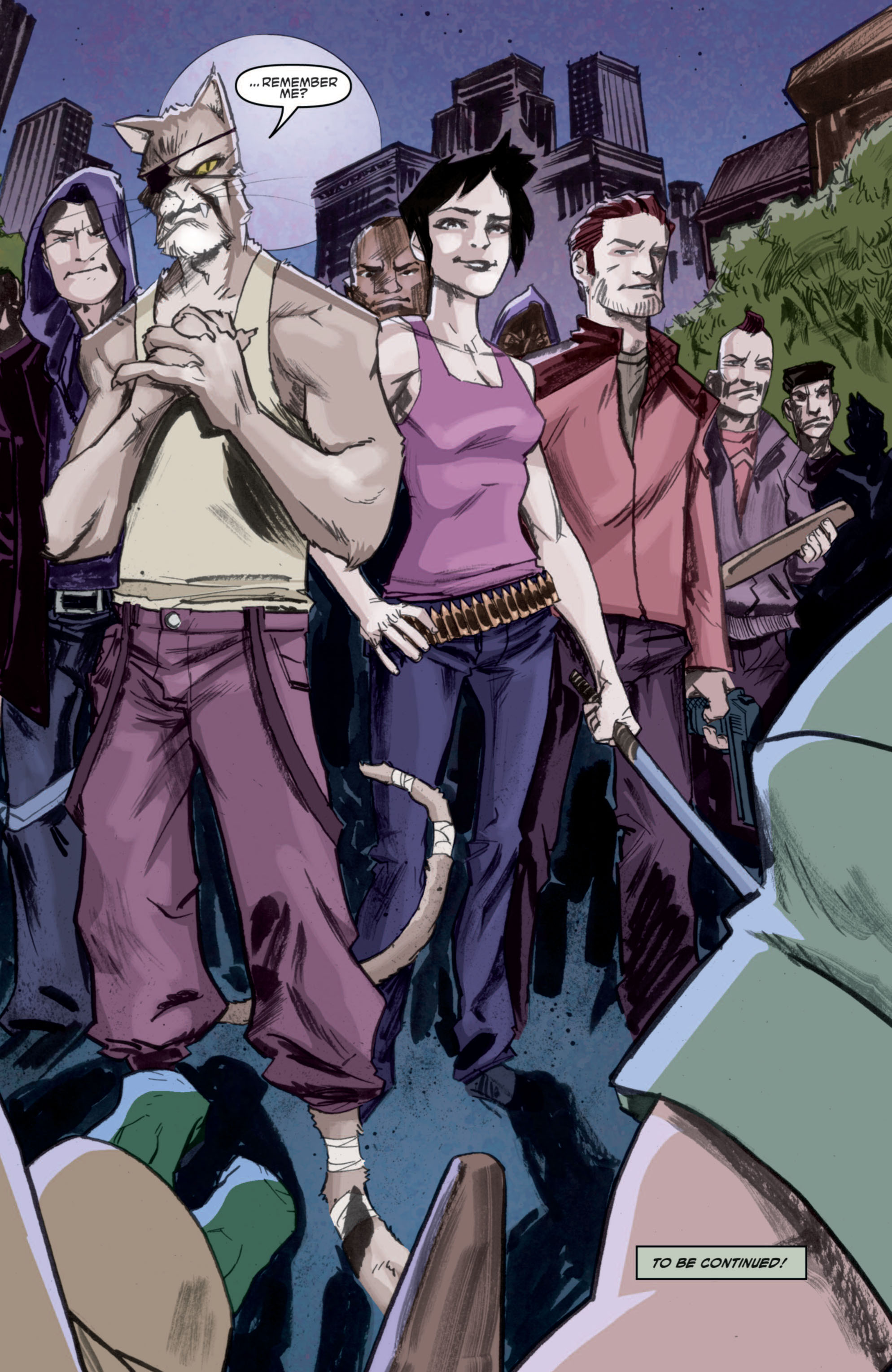 Read online Teenage Mutant Ninja Turtles (2011) comic -  Issue #3 - 29