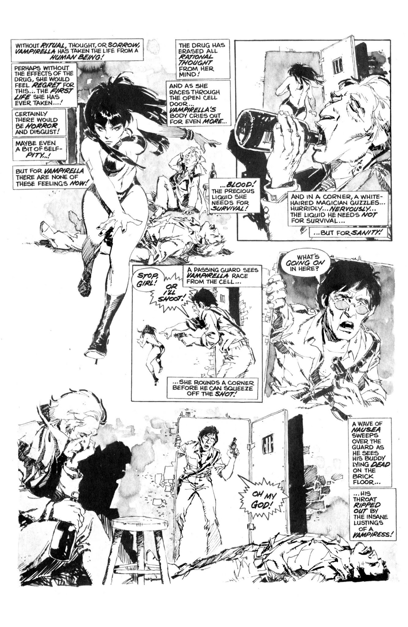 Read online Vampirella: The Essential Warren Years comic -  Issue # TPB (Part 4) - 3