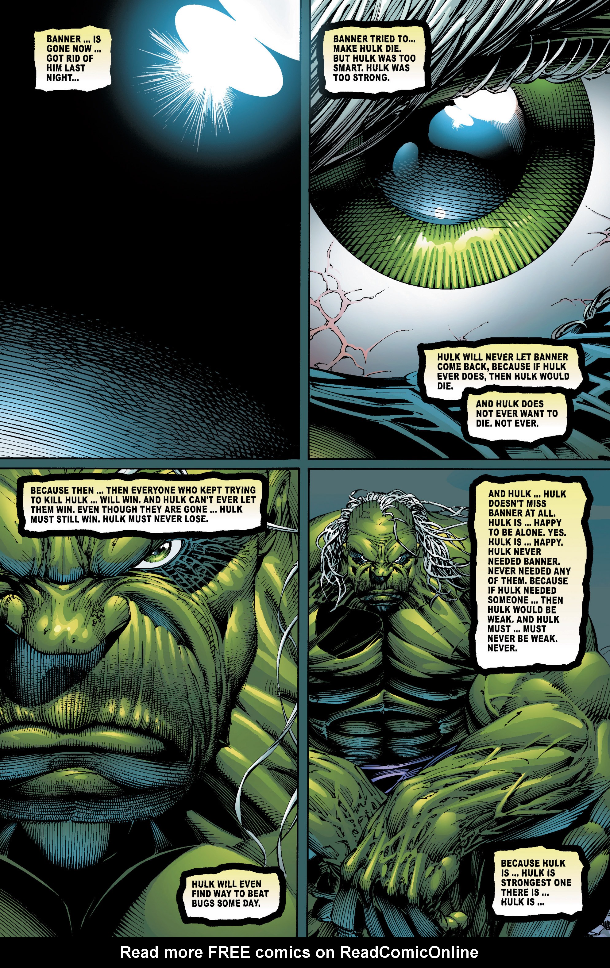 Read online Incredible Hulk: The End comic -  Issue # TPB - 44