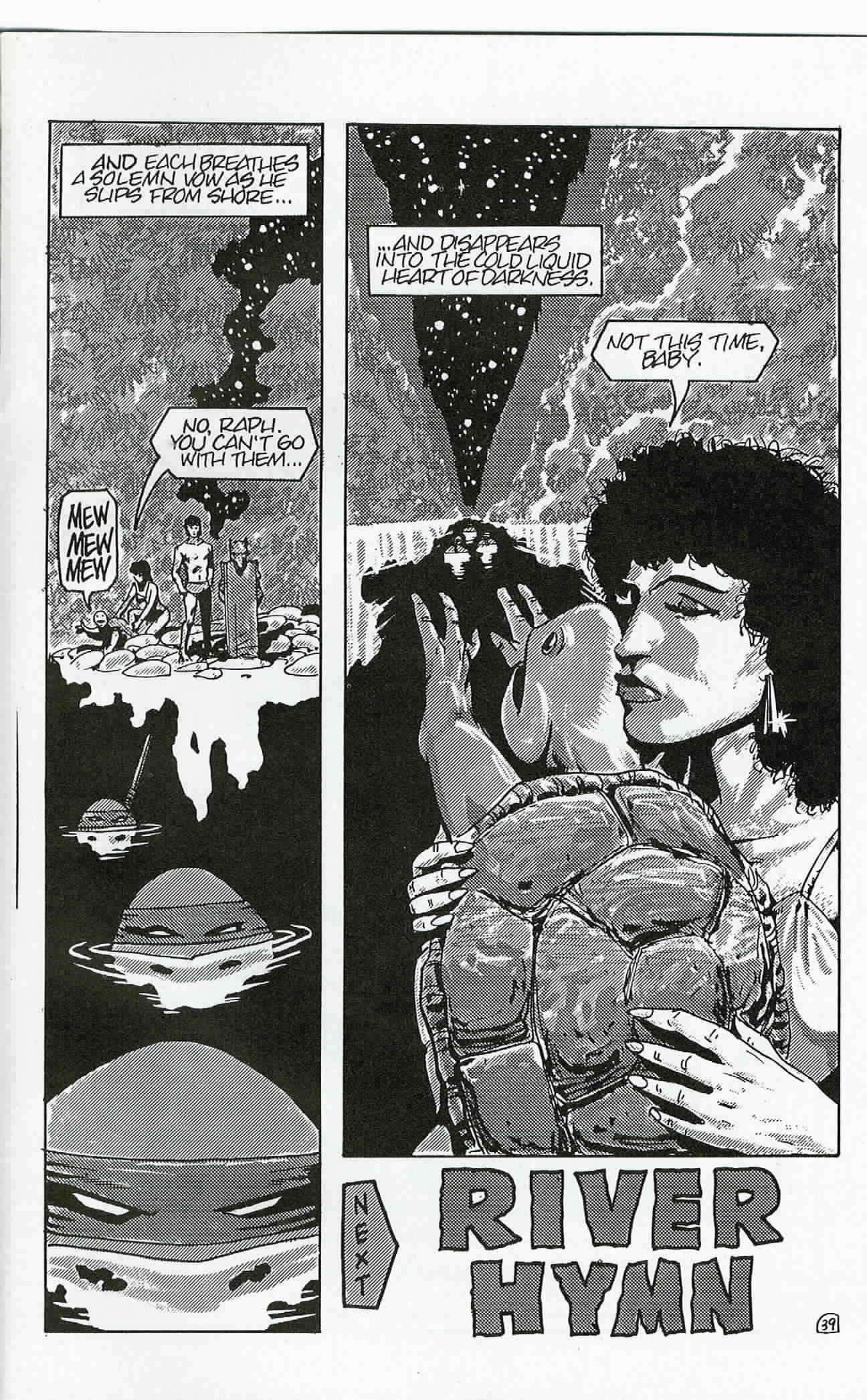 Read online Teenage Mutant Ninja Turtles (1984) comic -  Issue #24 - 40