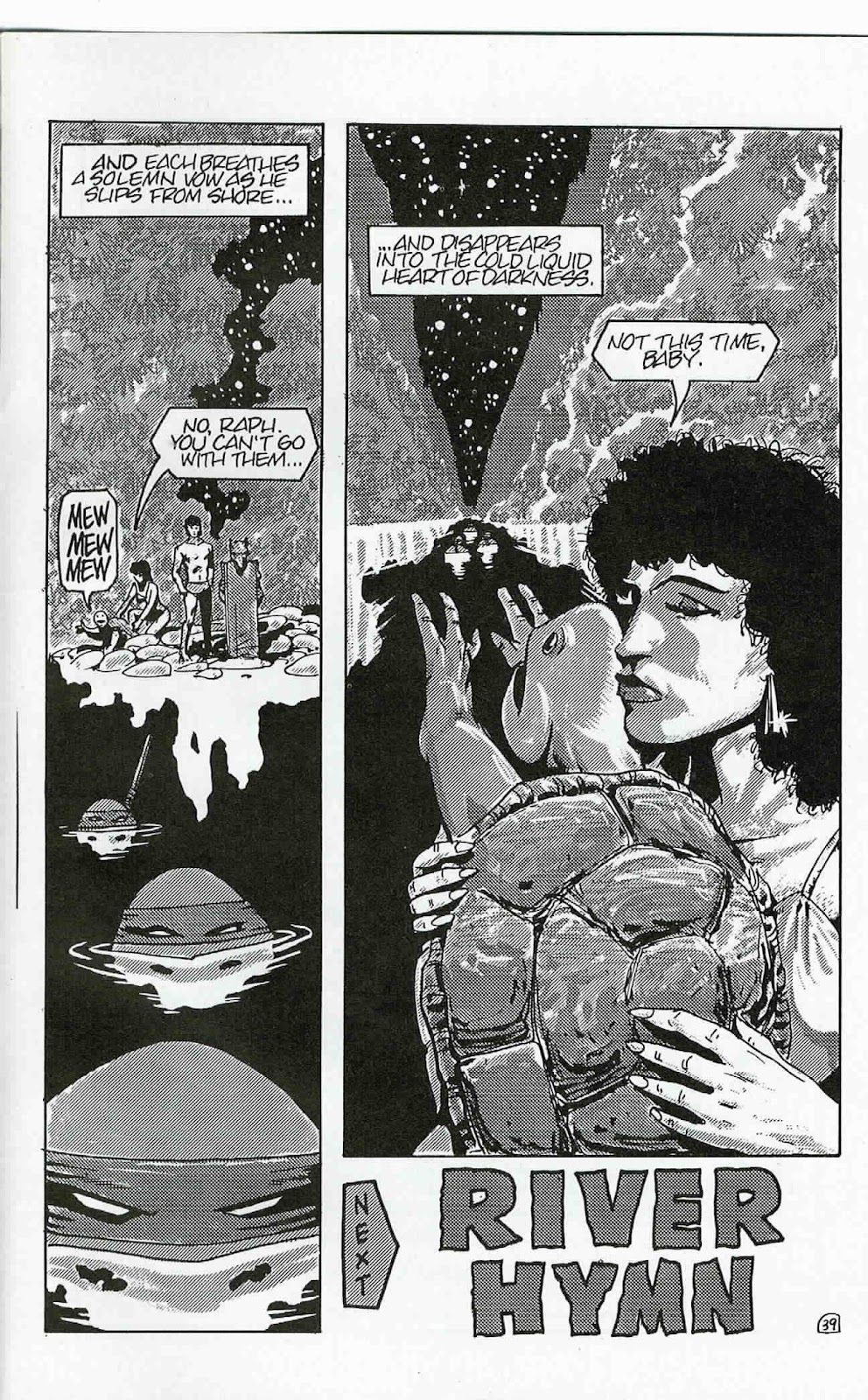 Teenage Mutant Ninja Turtles (1984) Issue #24 #24 - English 40