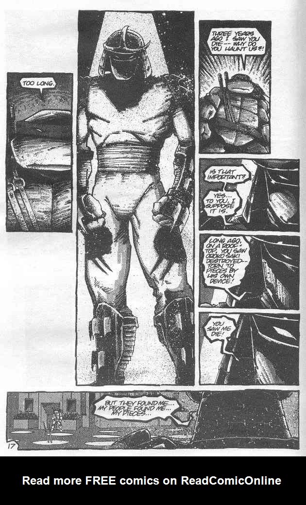 Teenage Mutant Ninja Turtles (1984) Issue #21 #21 - English 19