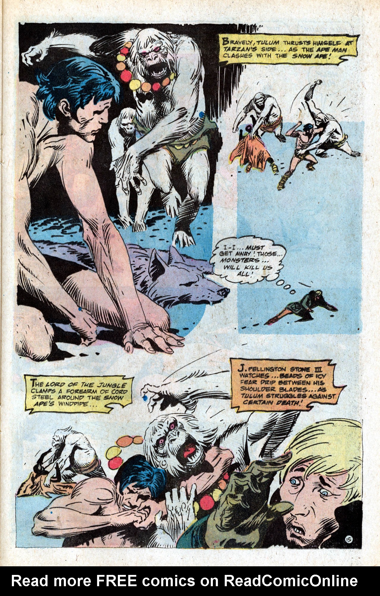 Read online Tarzan (1972) comic -  Issue #227 - 24