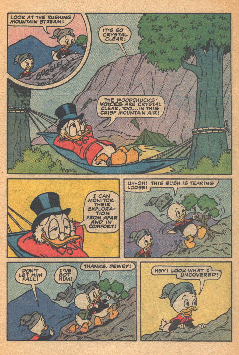 Read online Huey, Dewey, and Louie Junior Woodchucks comic -  Issue #77 - 13