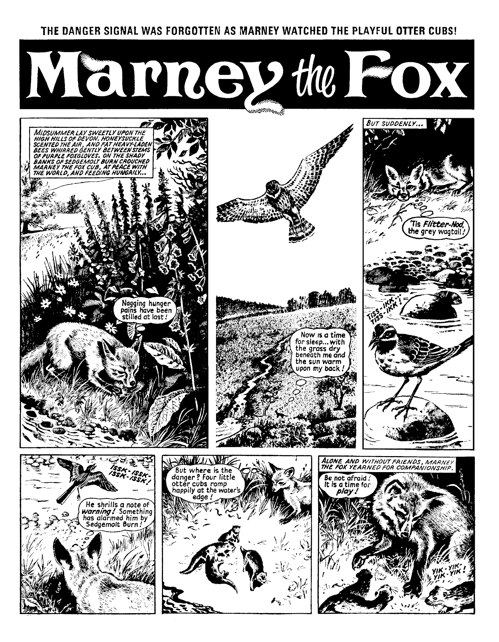 Read online Marney the Fox comic -  Issue # TPB (Part 1) - 13