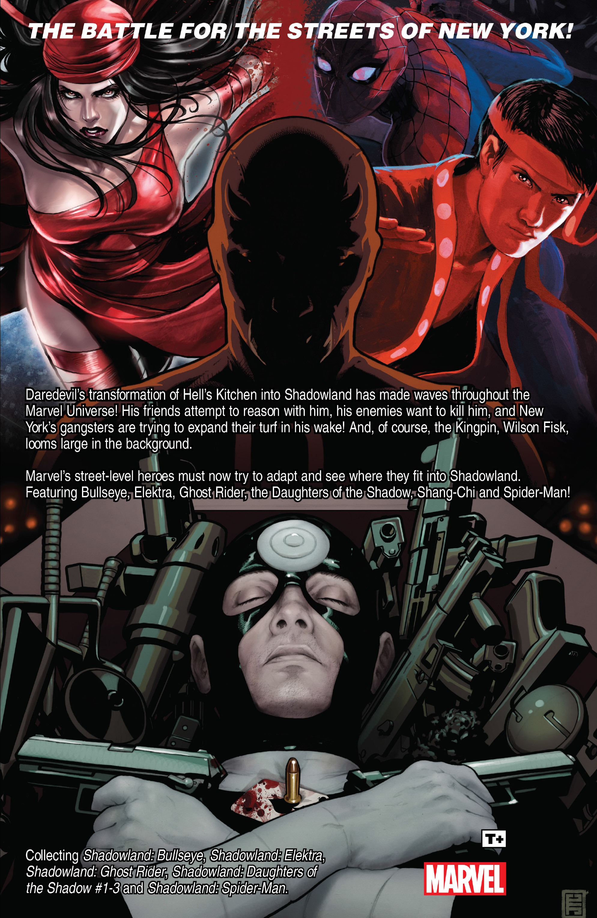 Read online Shadowland: Street Heroes comic -  Issue # TPB - 177