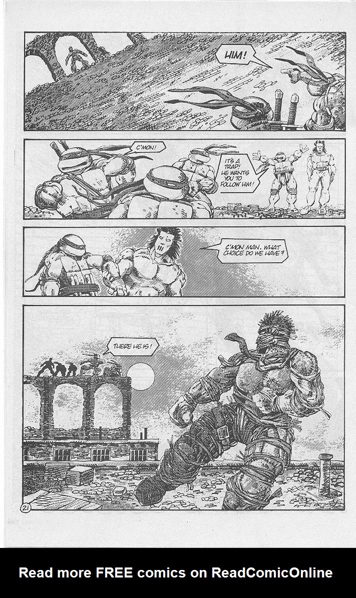 Read online Tales of the Teenage Mutant Ninja Turtles comic -  Issue #4 - 24