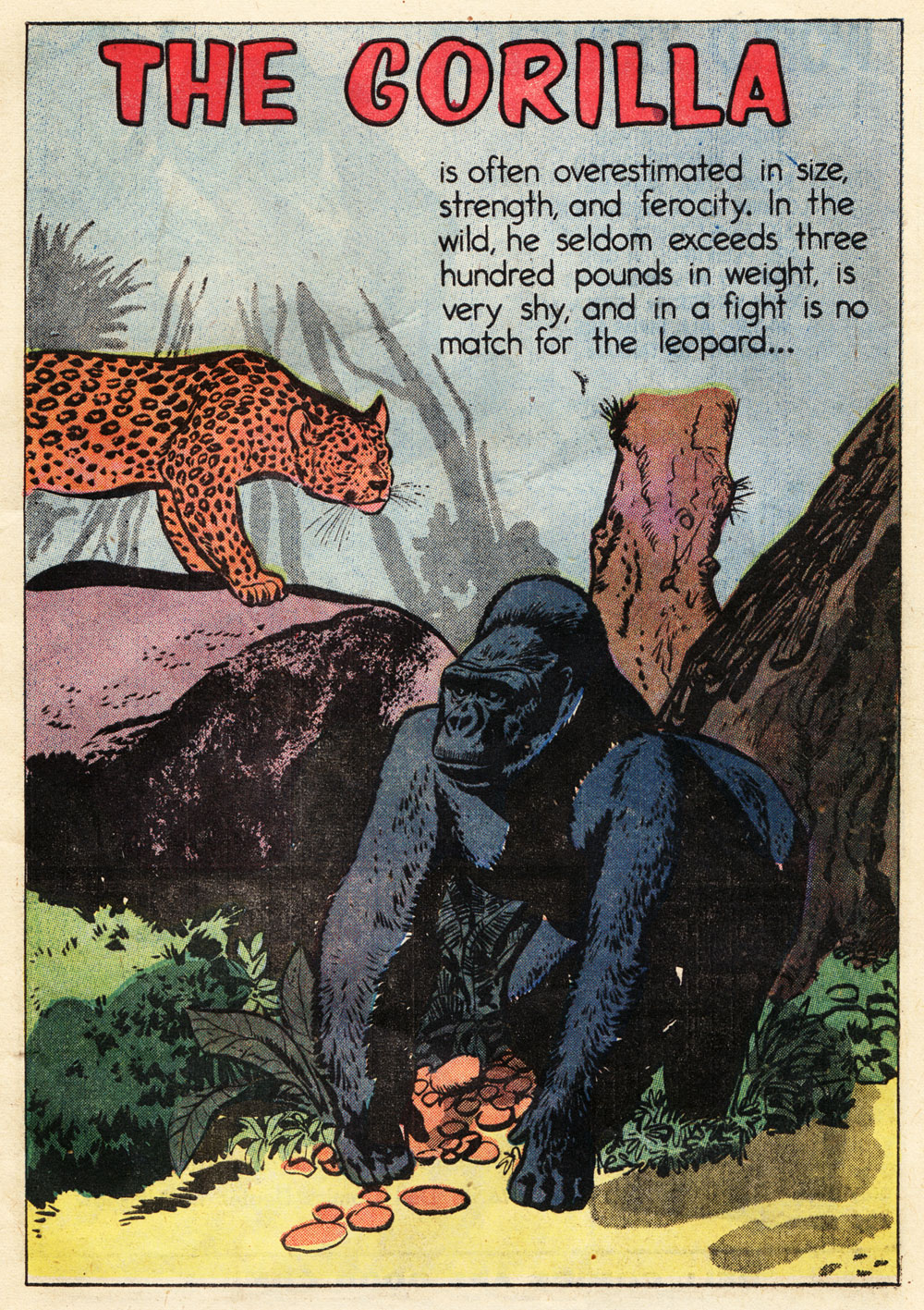 Read online Tarzan (1948) comic -  Issue #71 - 33