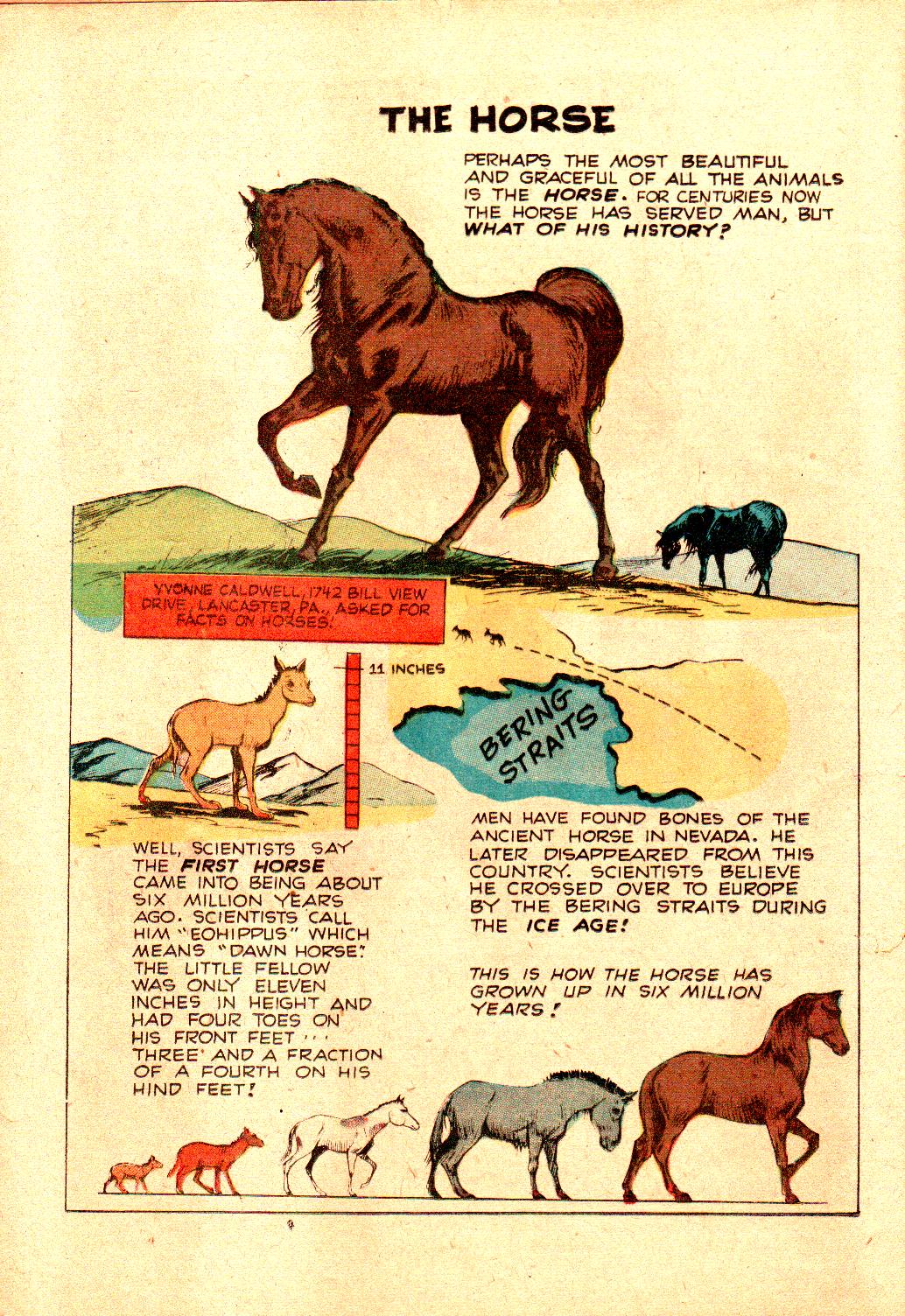 Read online Little Archie In Animal Land comic -  Issue #18 - 12