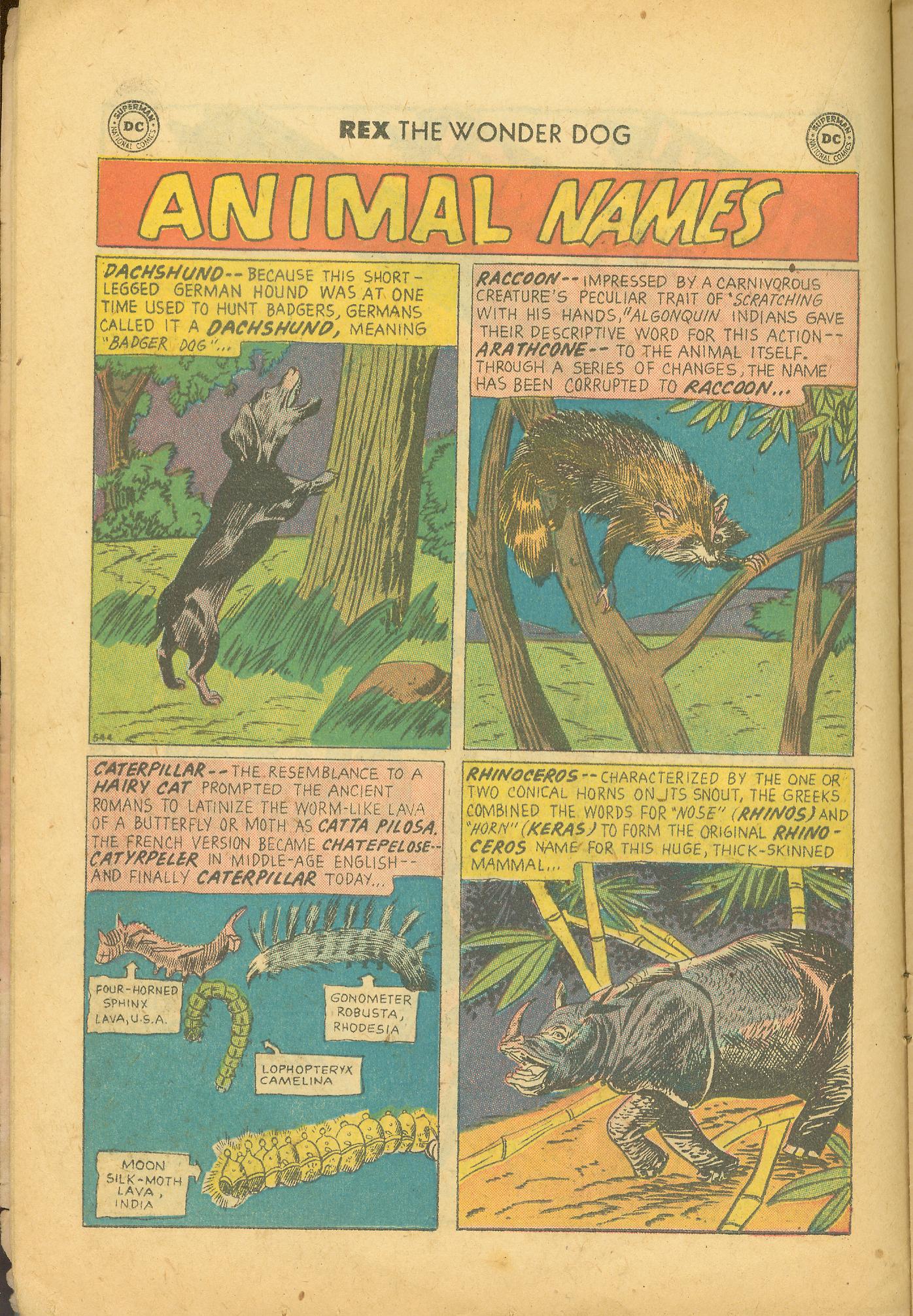 Read online The Adventures of Rex the Wonder Dog comic -  Issue #39 - 14