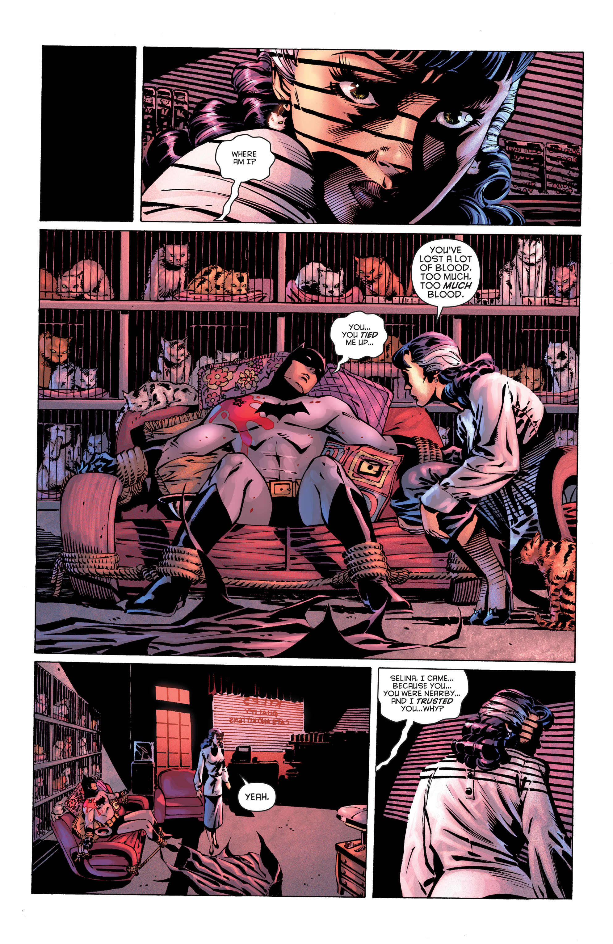 Read online Batman: Whatever Happened to the Caped Crusader? comic -  Issue # Full - 26