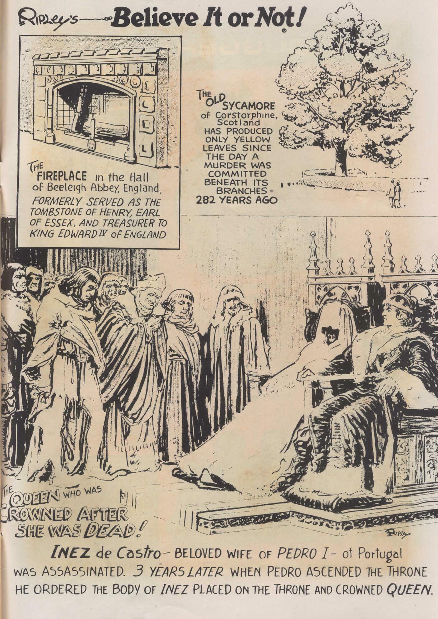 Read online Ripley's Believe it or Not! (1965) comic -  Issue #2 - 35