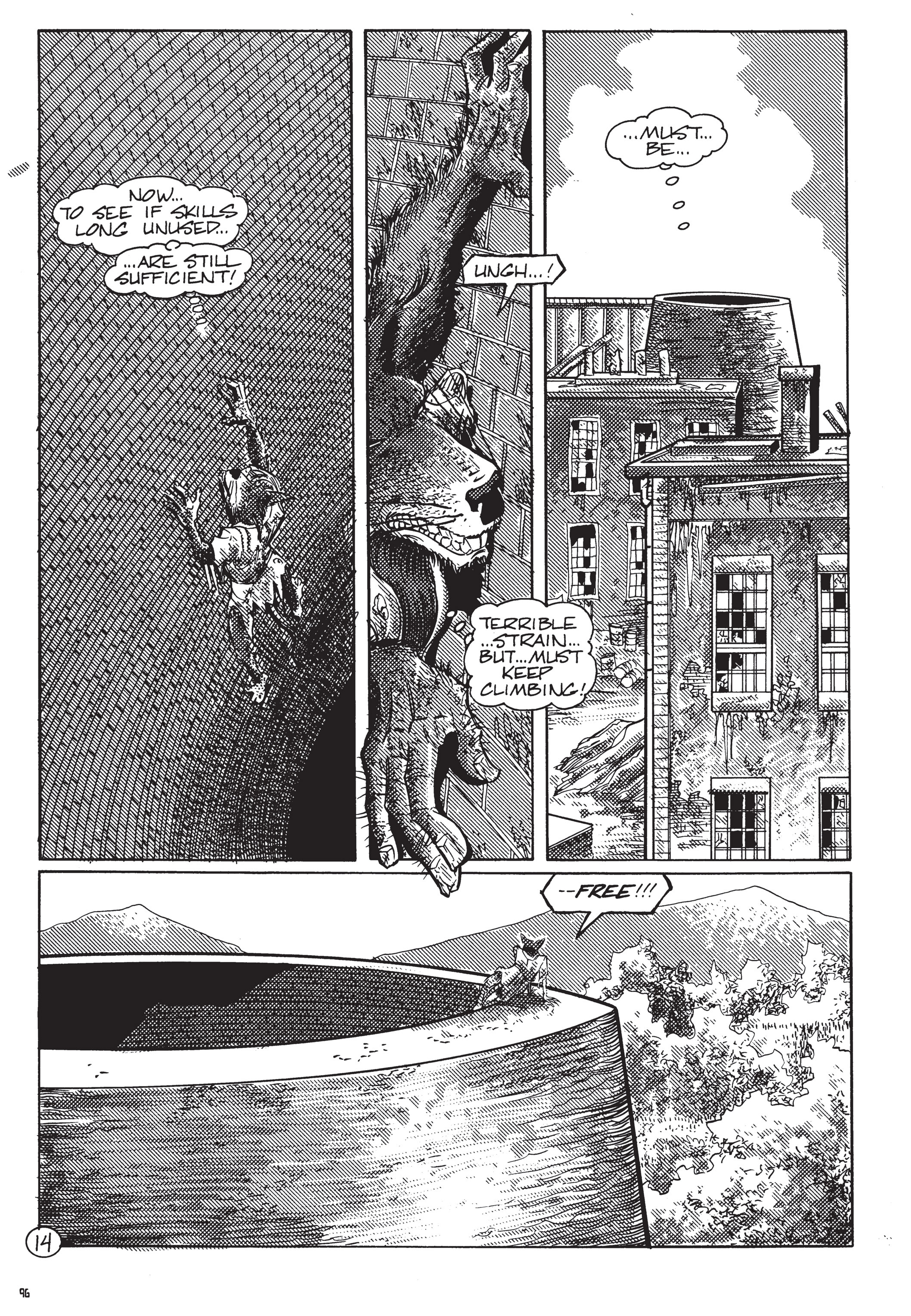 Read online Teenage Mutant Ninja Turtles: The Ultimate Collection comic -  Issue # TPB 5 (Part 2) - 97