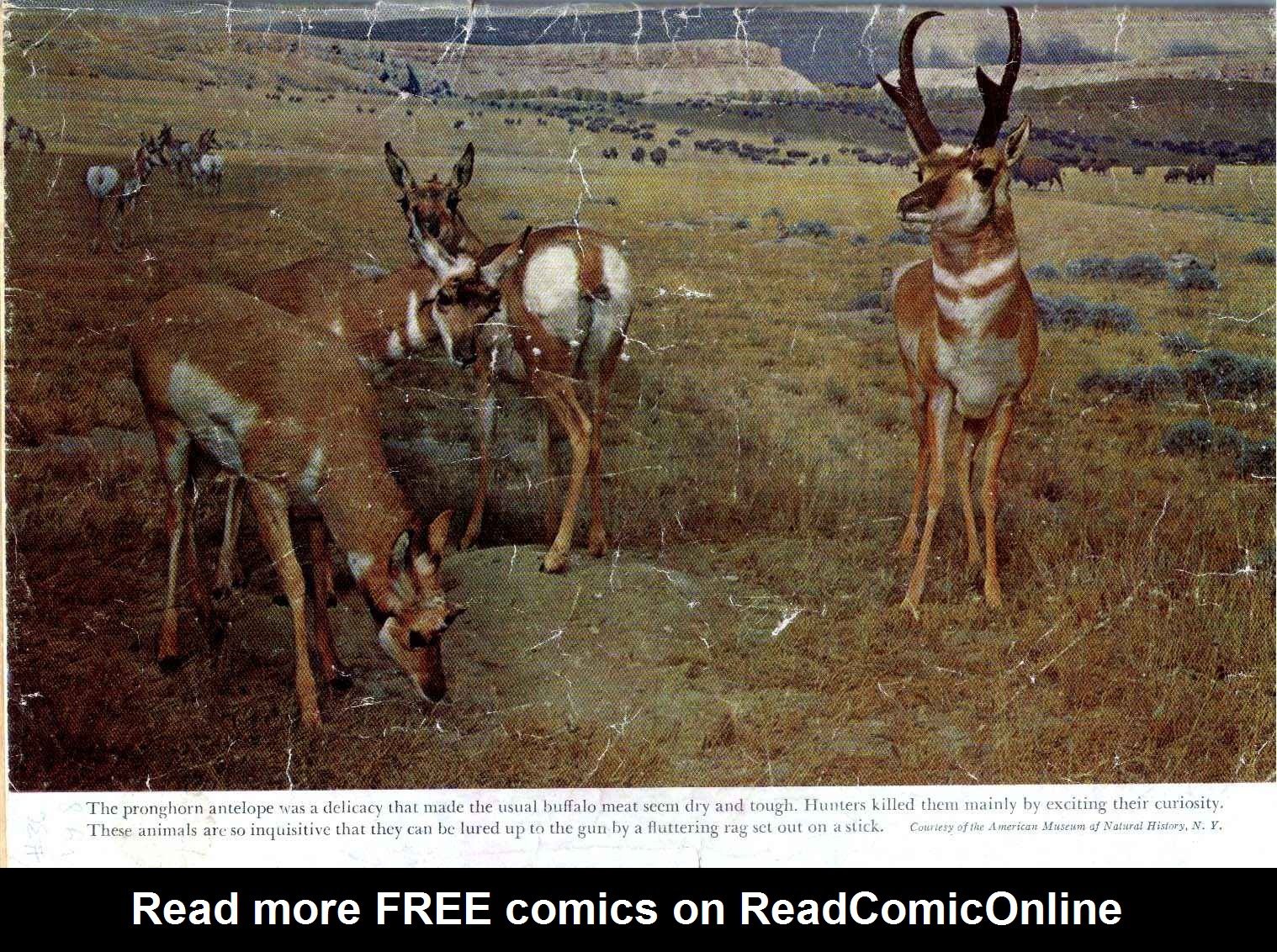 Read online The Lone Ranger (1948) comic -  Issue #36 - 52