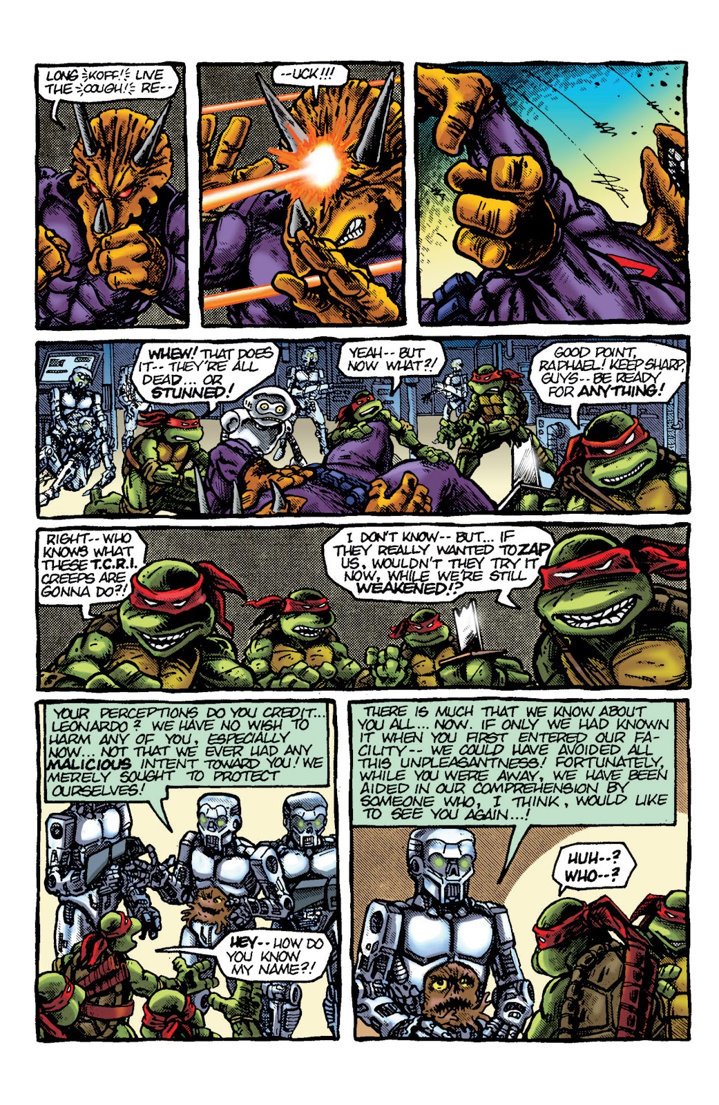 Teenage Mutant Ninja Turtles Color Classics (2012) issue 7 - Page 13
