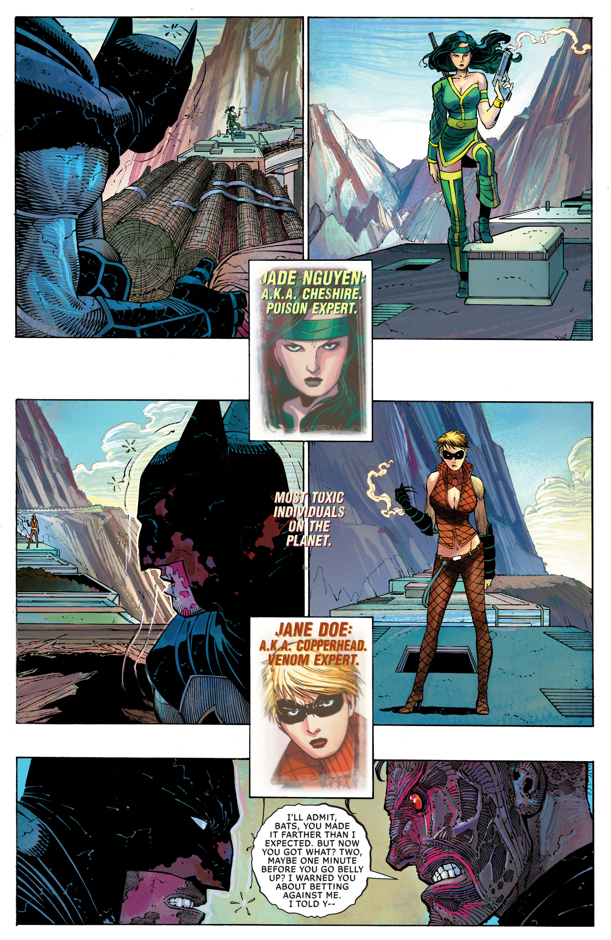 Read online All-Star Batman comic -  Issue #2 - 14
