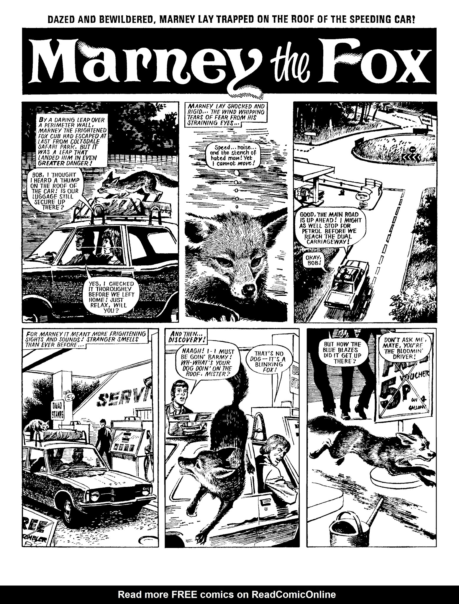 Read online Marney the Fox comic -  Issue # TPB (Part 1) - 33