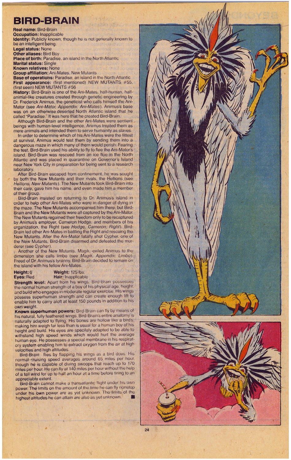 Read online The Official Handbook of the Marvel Universe: Update '89 comic -  Issue #1 - 27