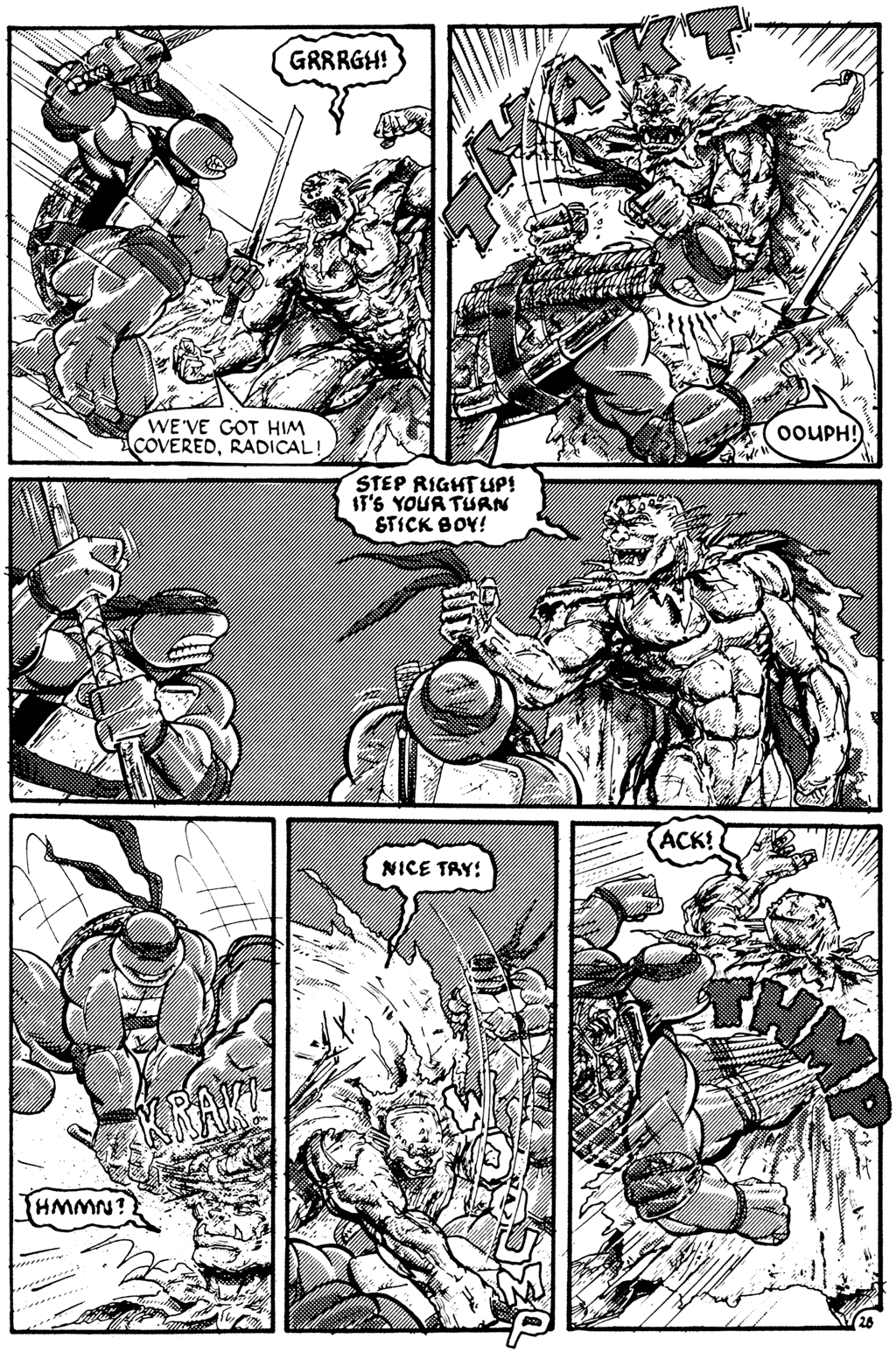 Teenage Mutant Ninja Turtles (1984) Issue #27 #27 - English 28