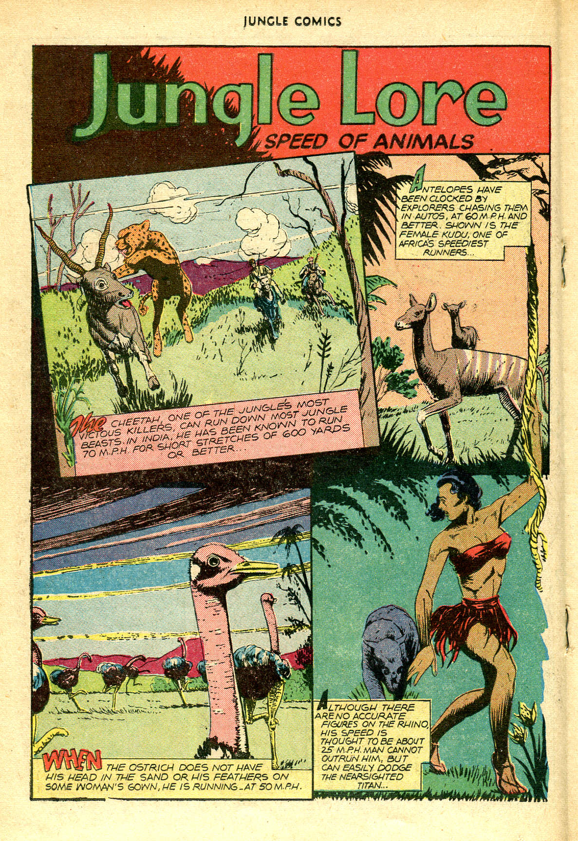 Read online Jungle Comics comic -  Issue #83 - 27