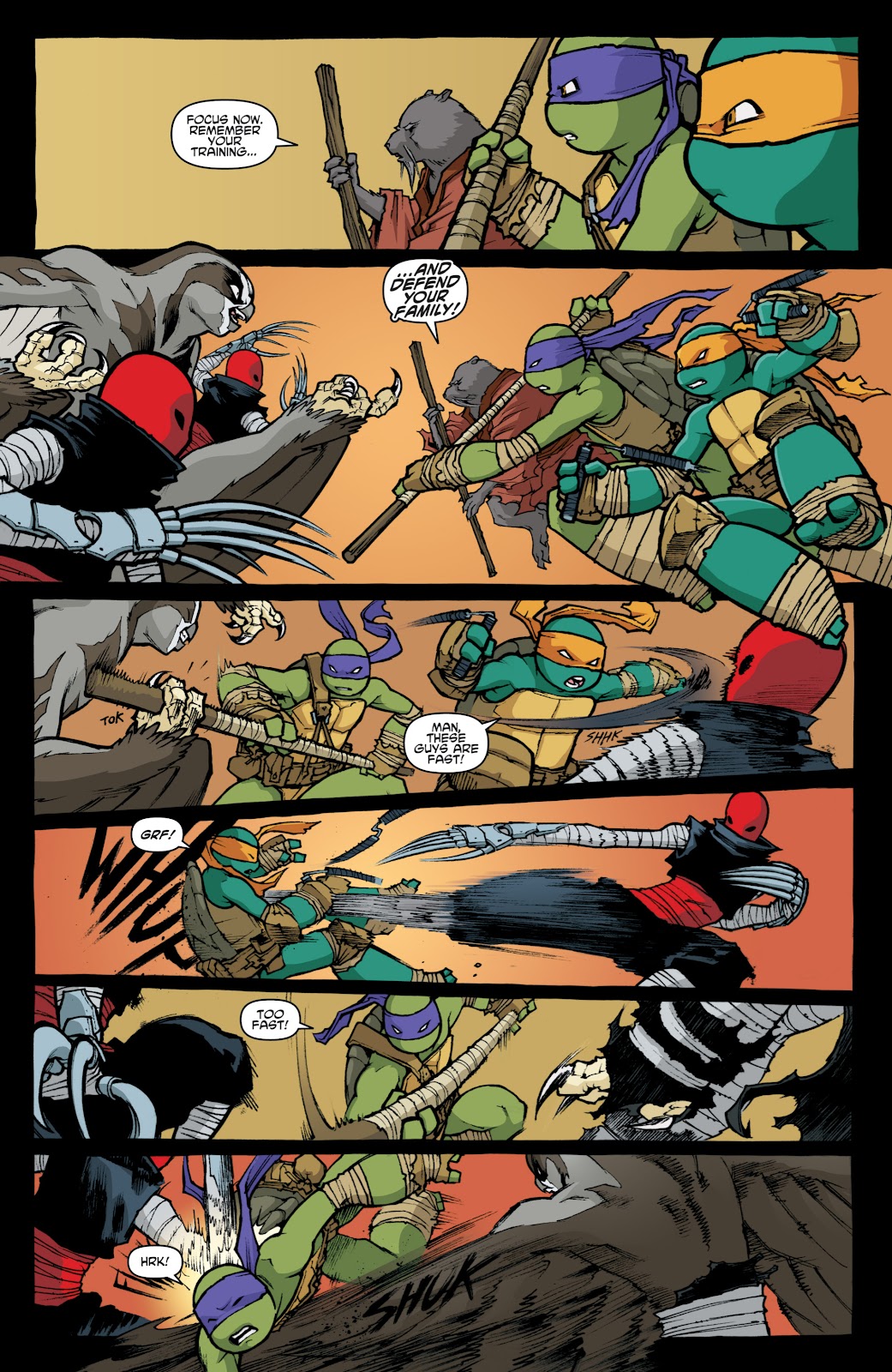 Teenage Mutant Ninja Turtles (2011) issue 31 - Page 24