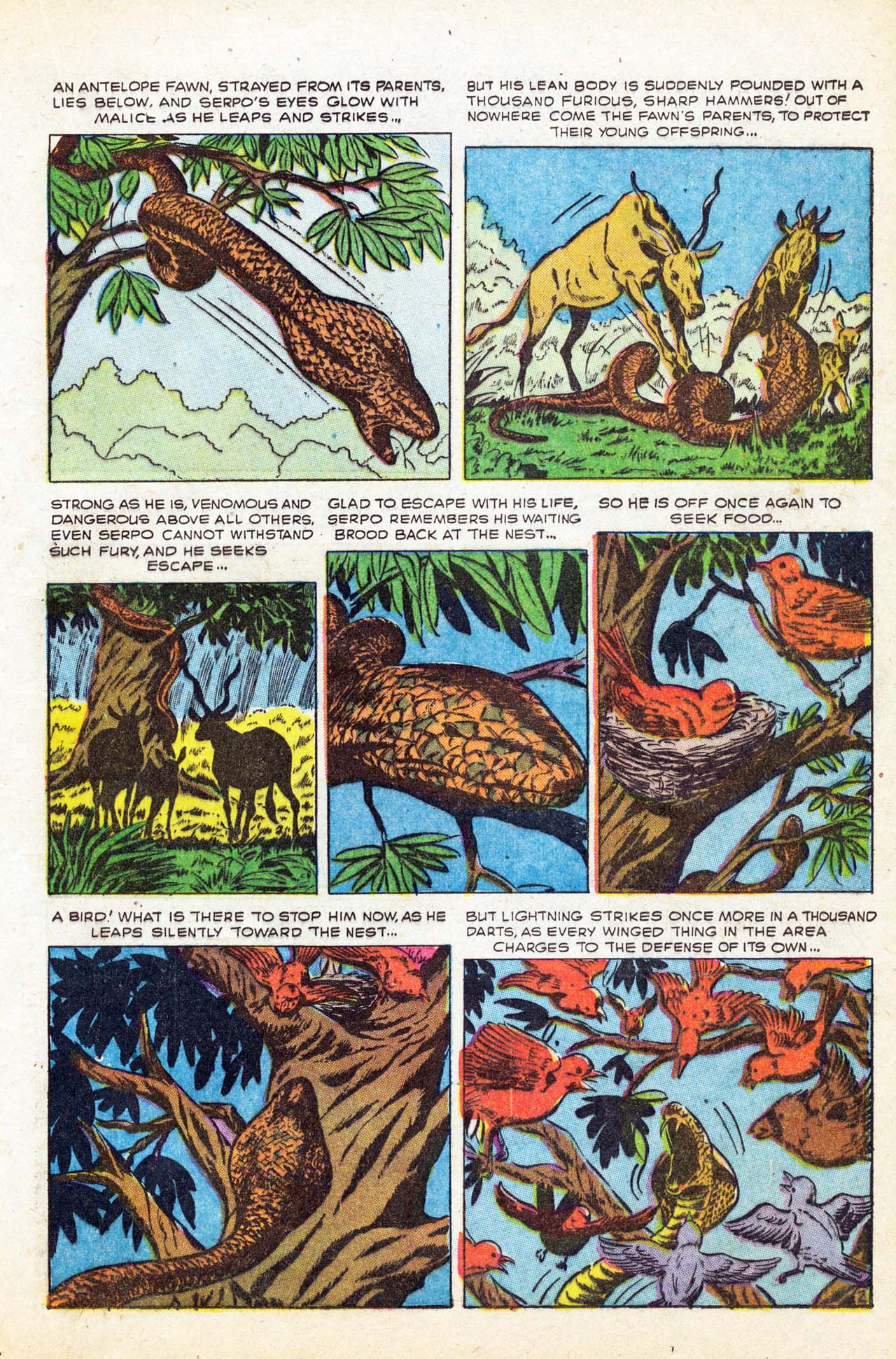 Read online Jungle Tales comic -  Issue #5 - 21
