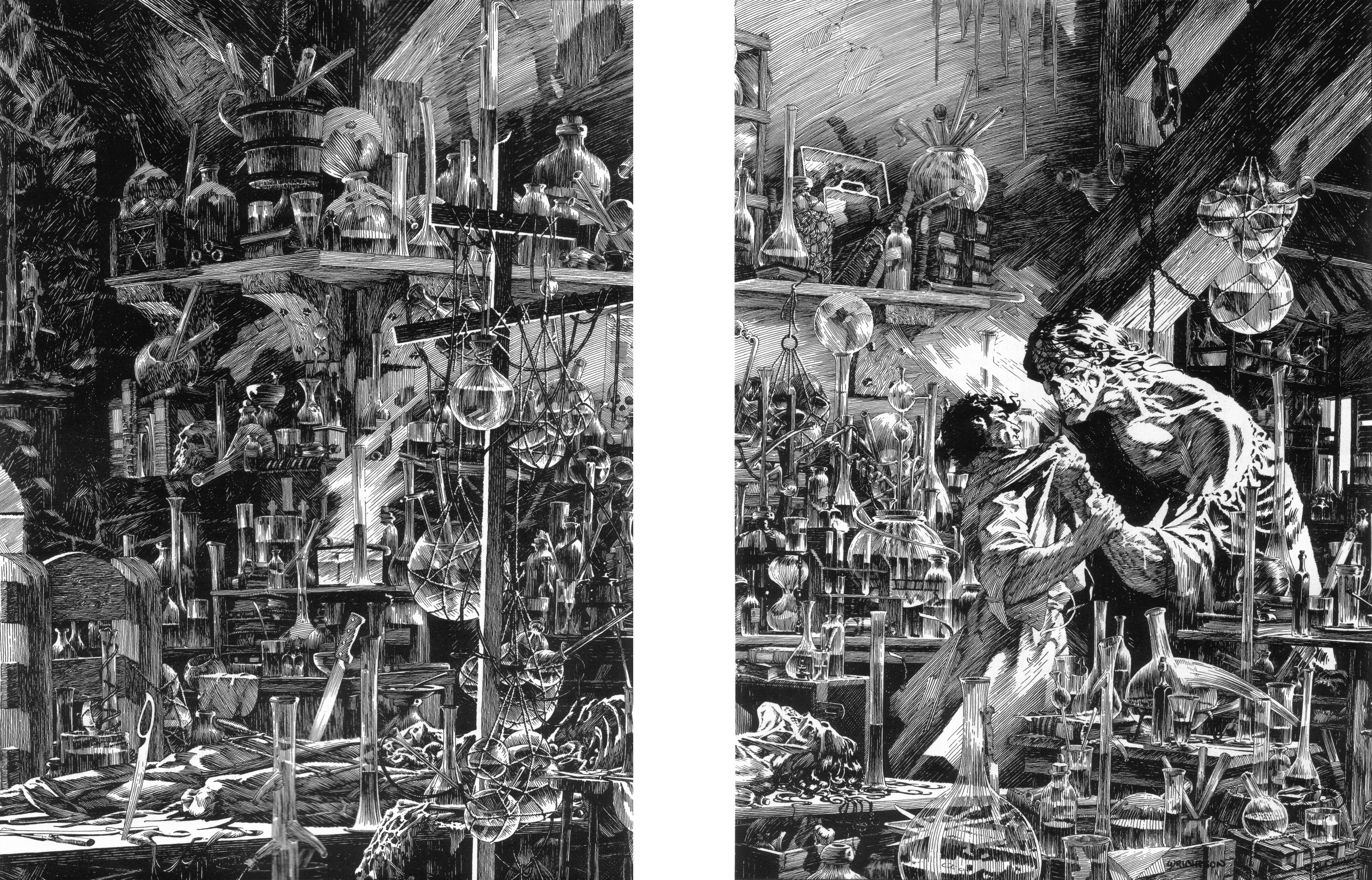Read online Bernie Wrightson's Frankenstein comic -  Issue # Full - 35