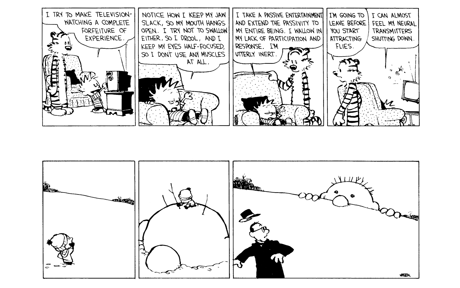Read online Calvin and Hobbes comic -  Issue #8 - 18