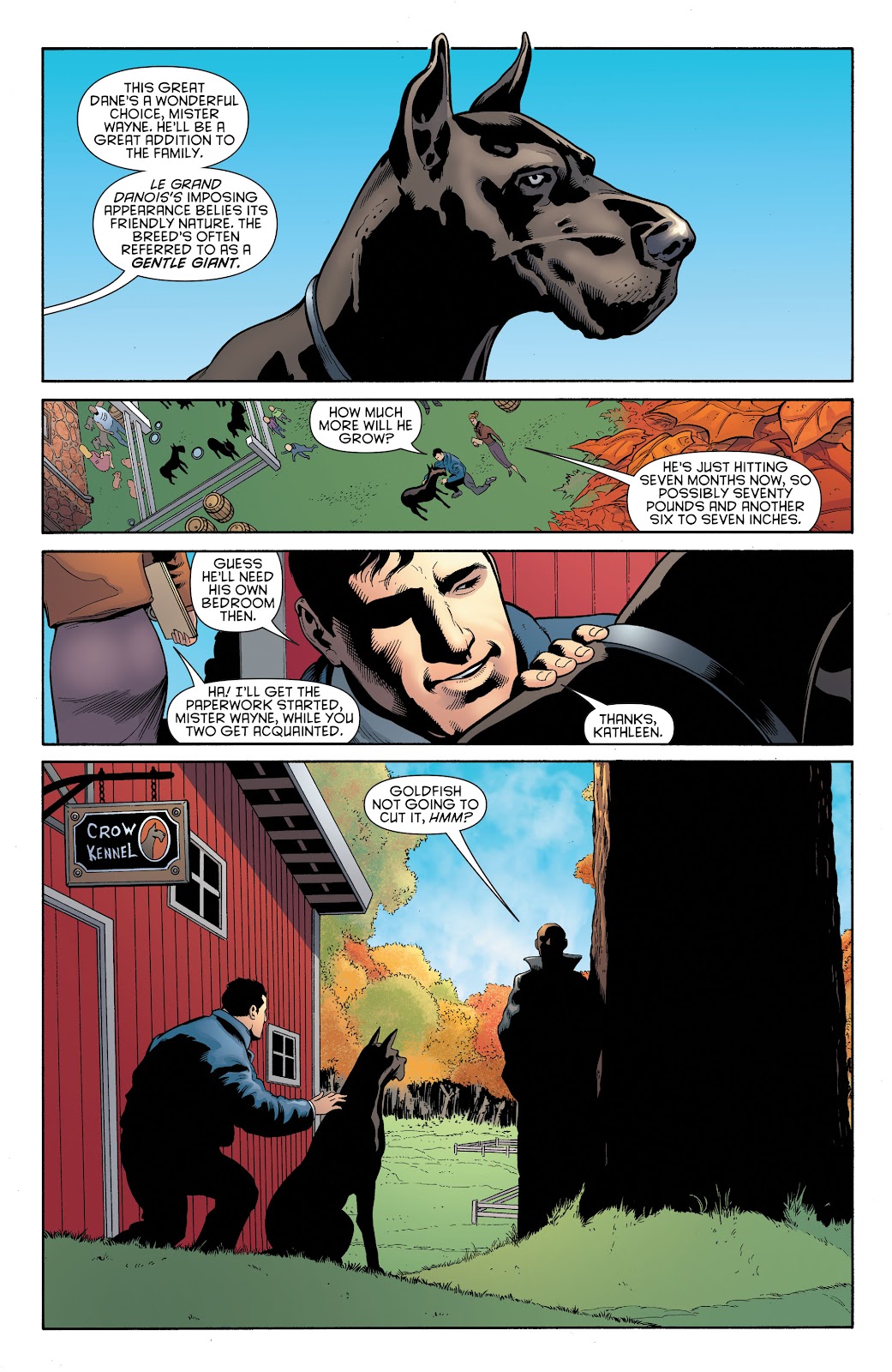 Batman and Robin (2011) issue Bad Blood (DC Essential Edition) (Part 1) - Page 42
