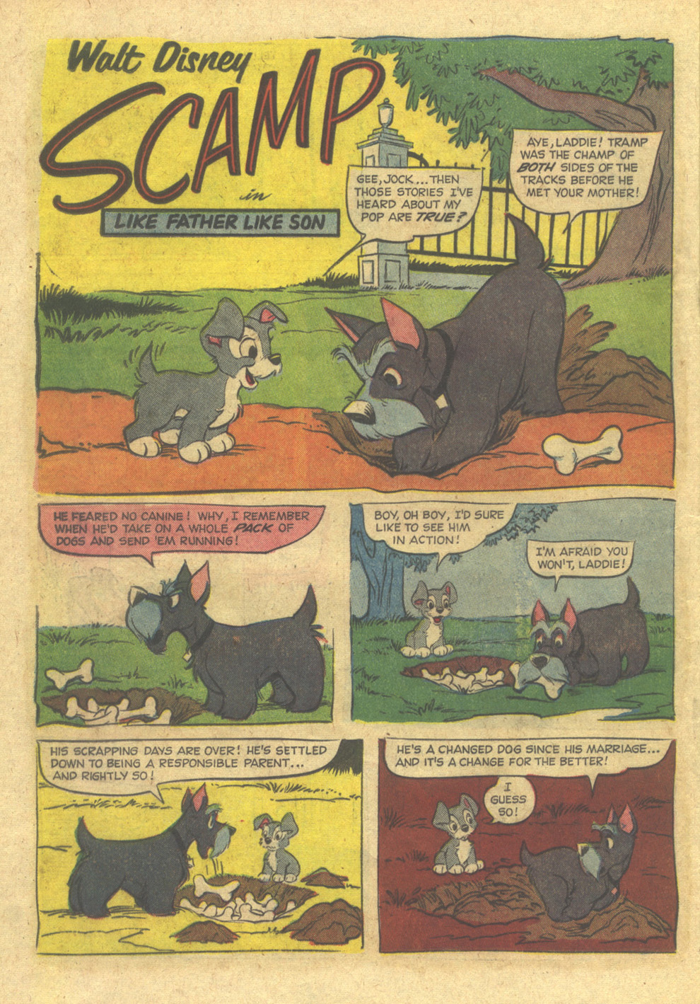 Read online Scamp (1967) comic -  Issue #1 - 20