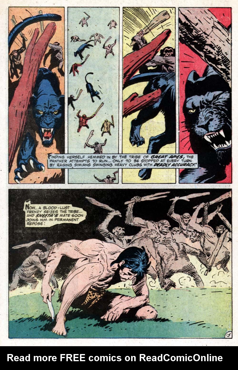 Read online Tarzan (1972) comic -  Issue #213 - 17