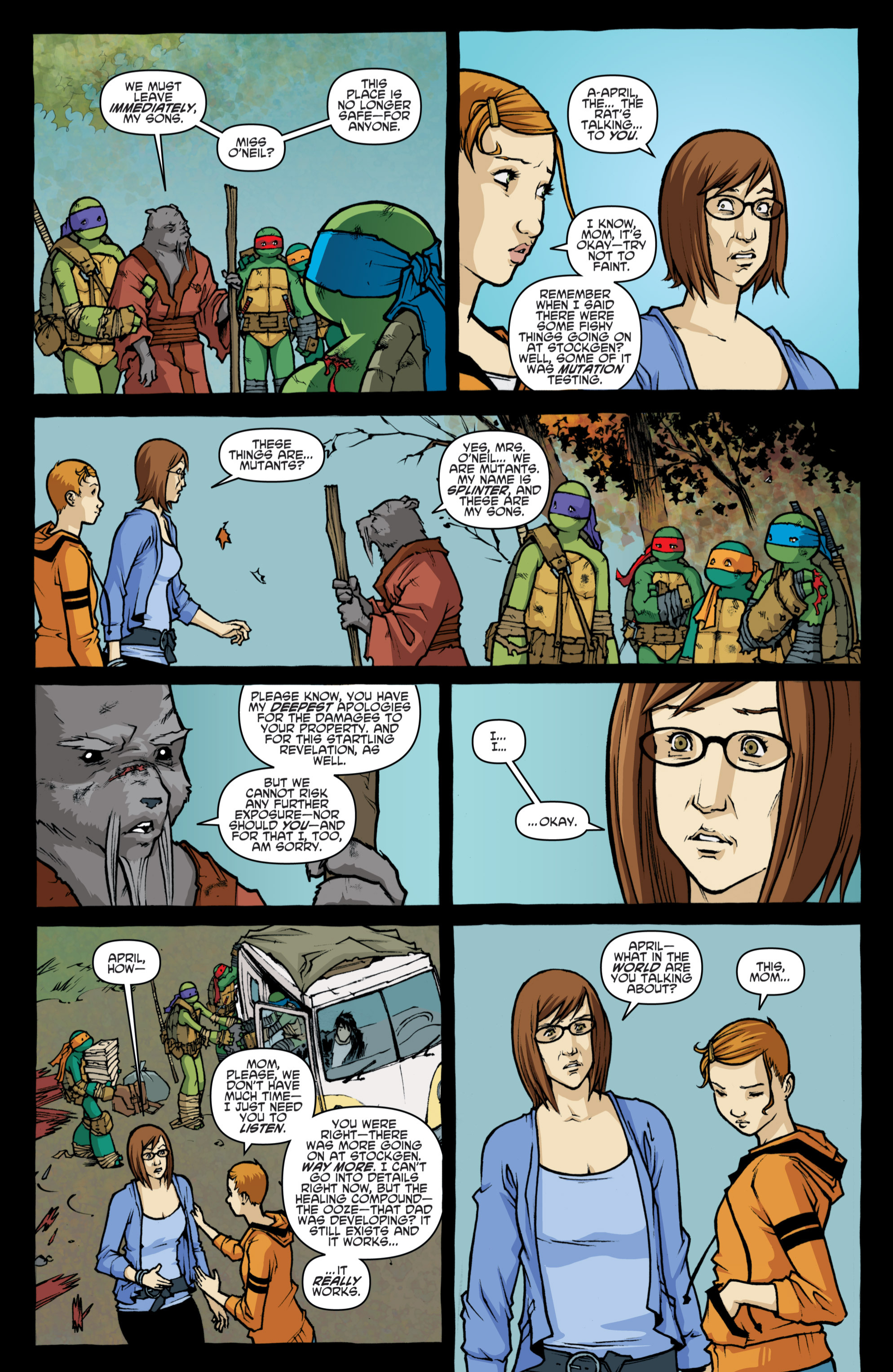 Read online Teenage Mutant Ninja Turtles (2011) comic -  Issue #32 - 22