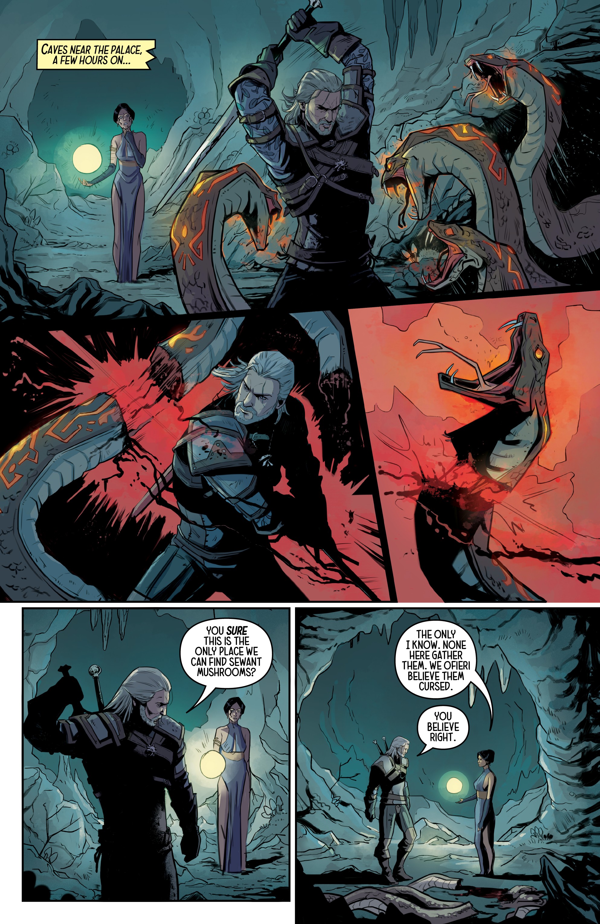 Read online The Witcher: Of Flesh and Flame comic -  Issue #3 - 8